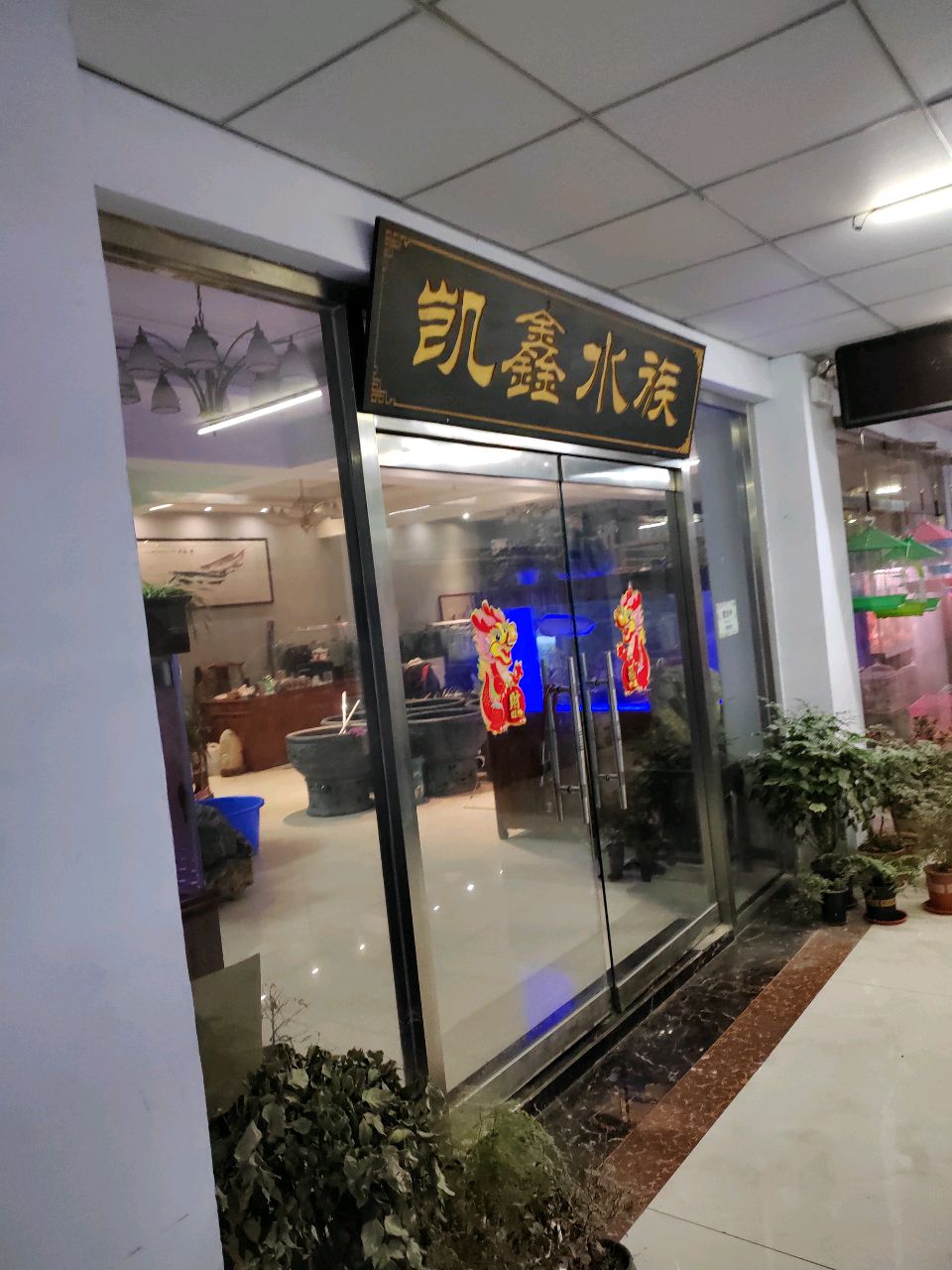 凯鑫水族