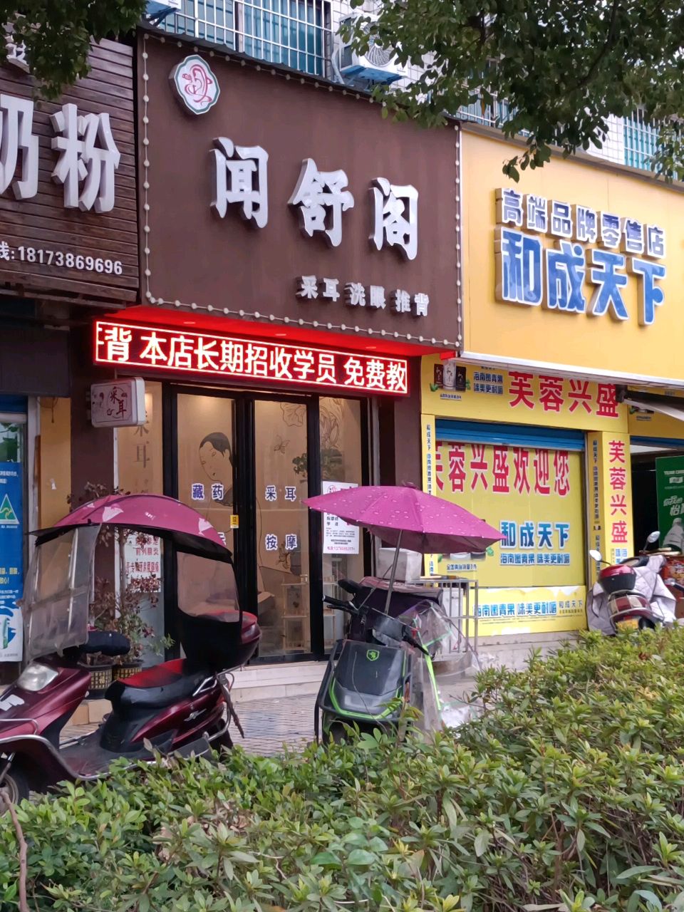 闻舒阁