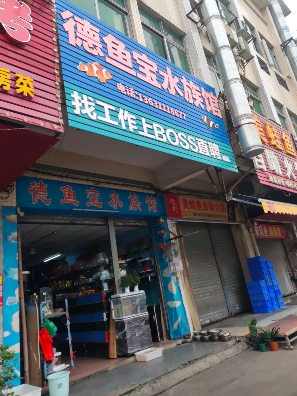 美蛙鱼自助火锅(丽园街店)