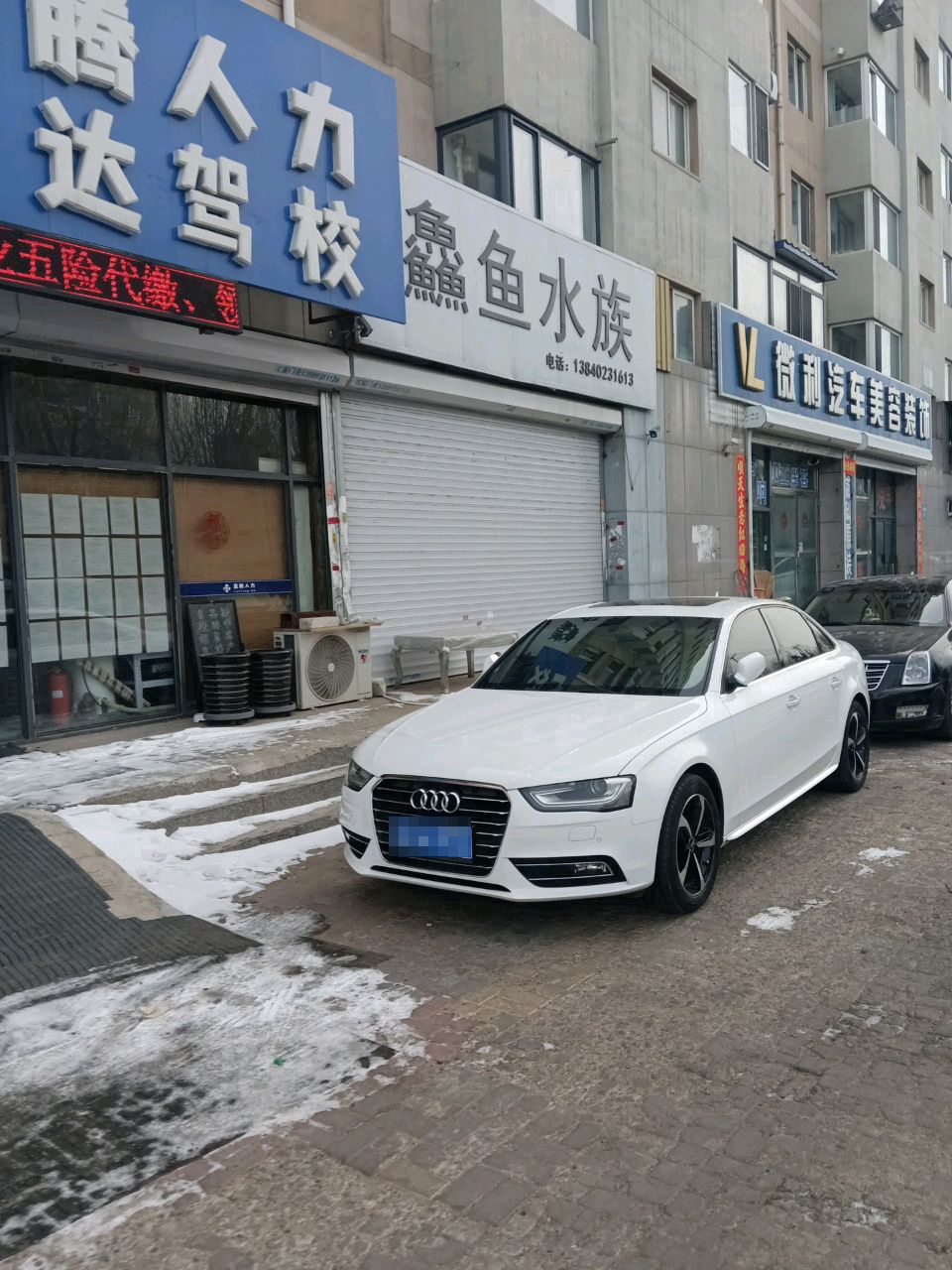 鱻鱼水族(万恒·东方俪城4期店)