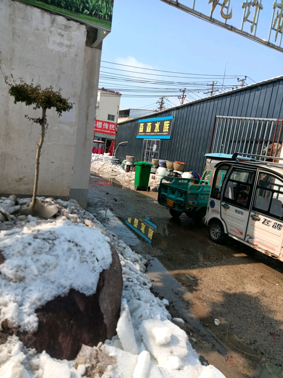 森森水族(汉阳南路店)