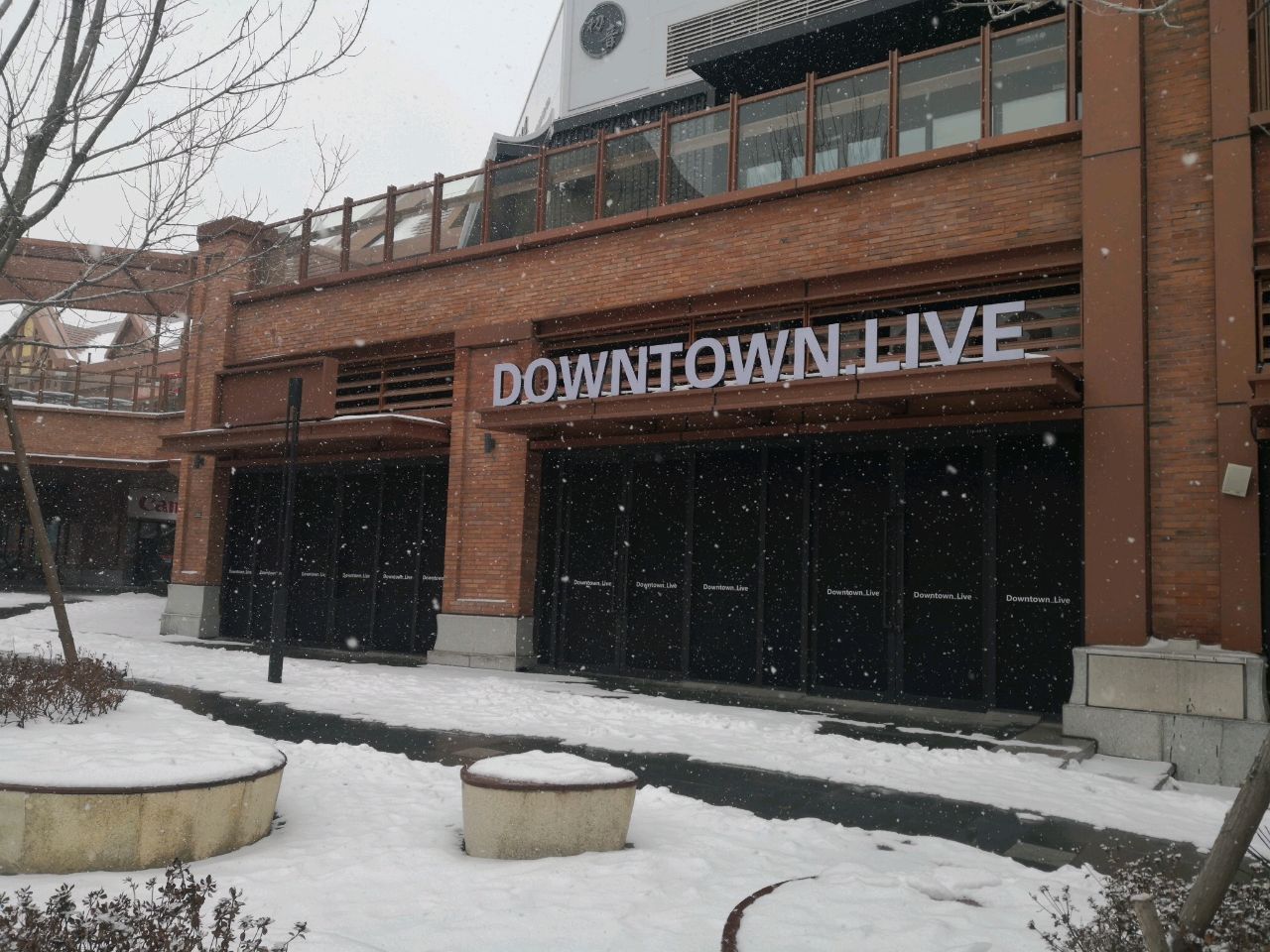 DOWNTOWN LIVE(Joypark店)