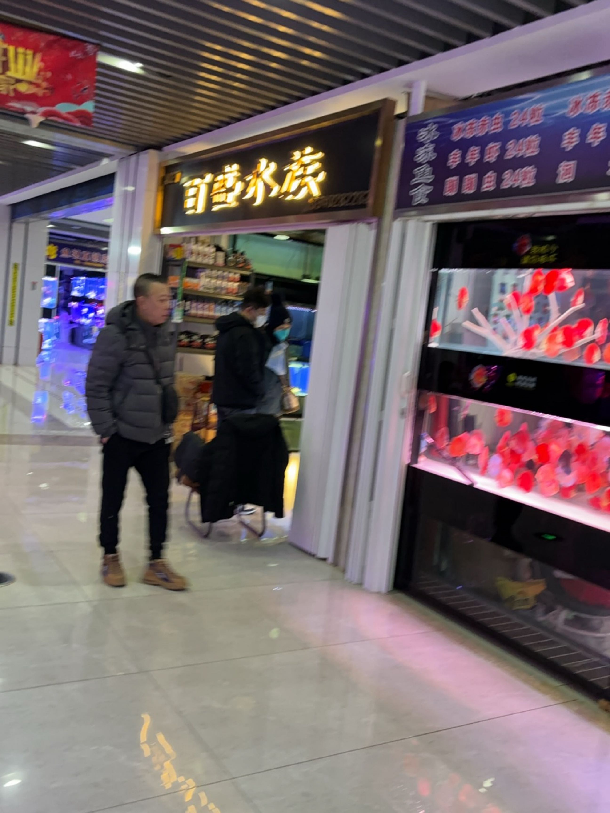 百盛水族
