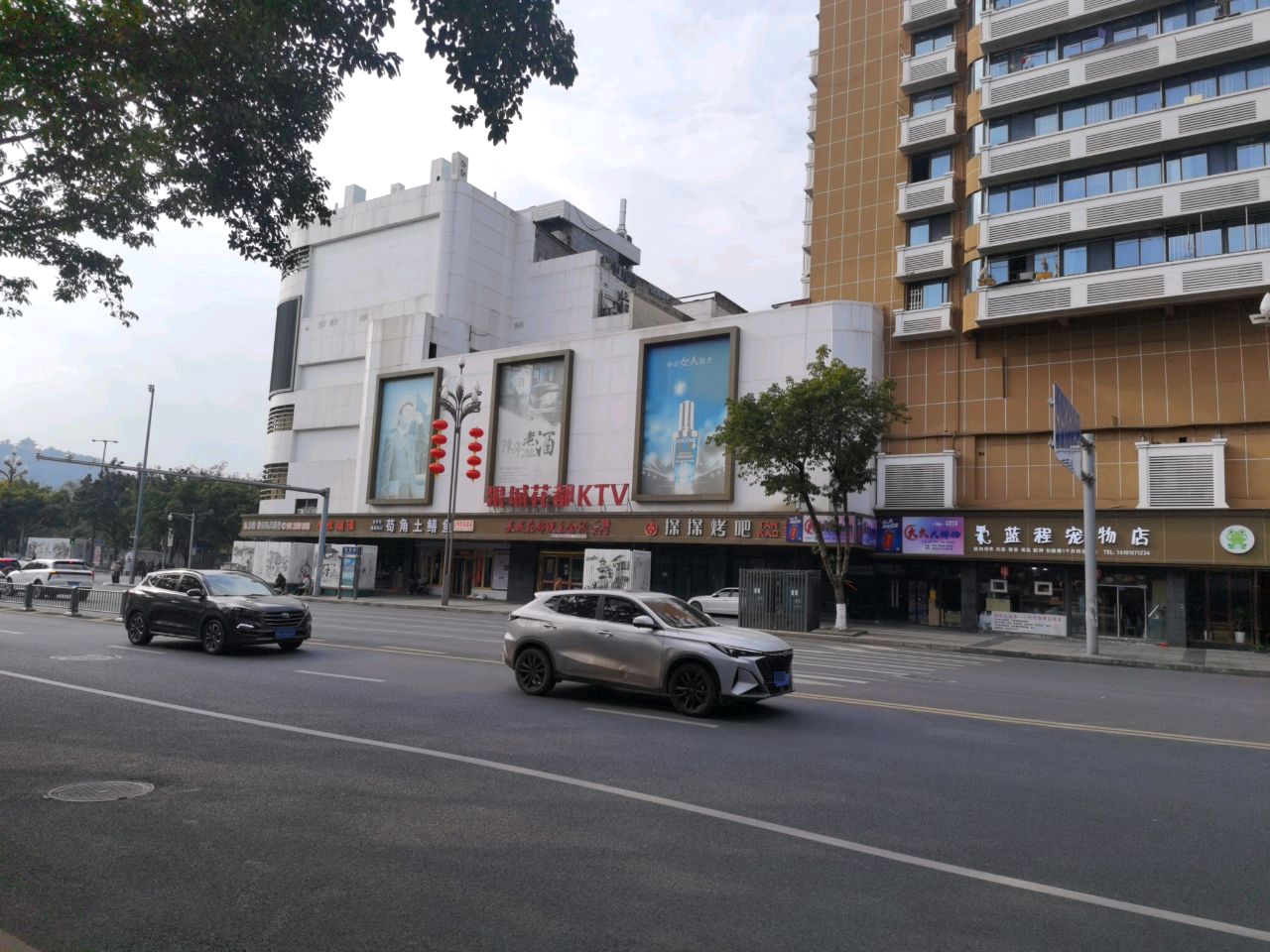 蓝程宠物店