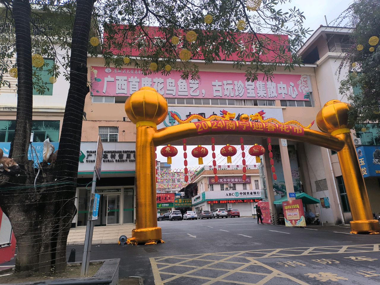 广西首届花鸟鱼古玩珍宝集散中心