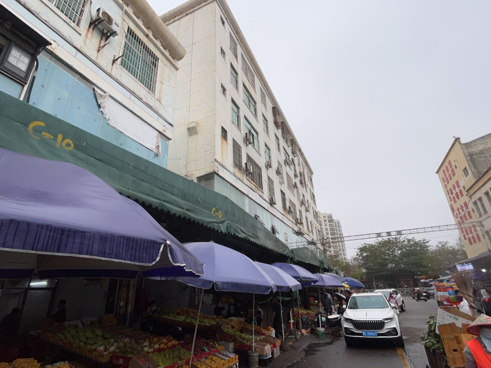 C10绿野仙踪水果店