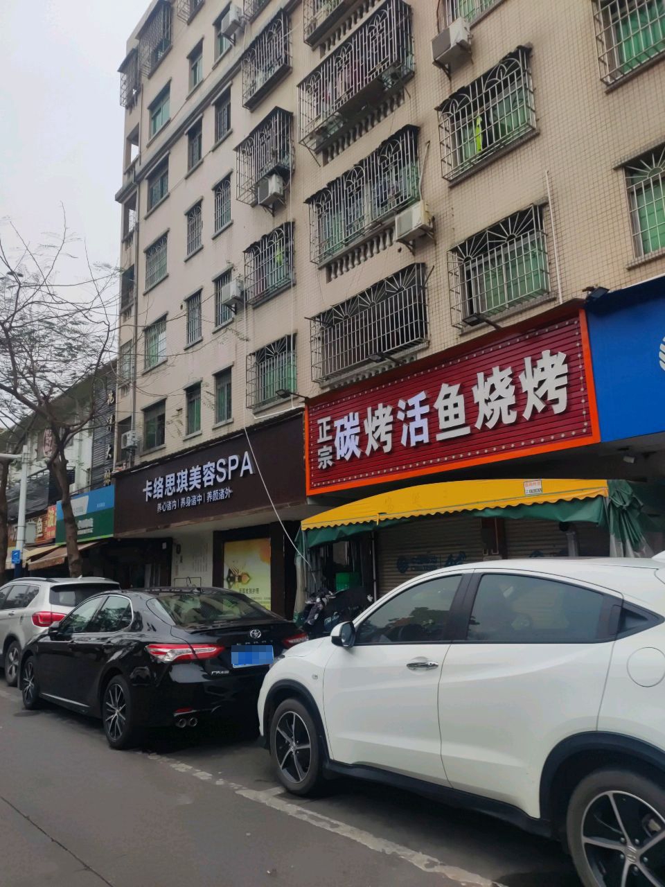 正宗四川烧鱼烧烤