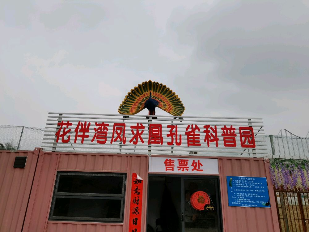 花伴湾凤求凰孔雀科普园