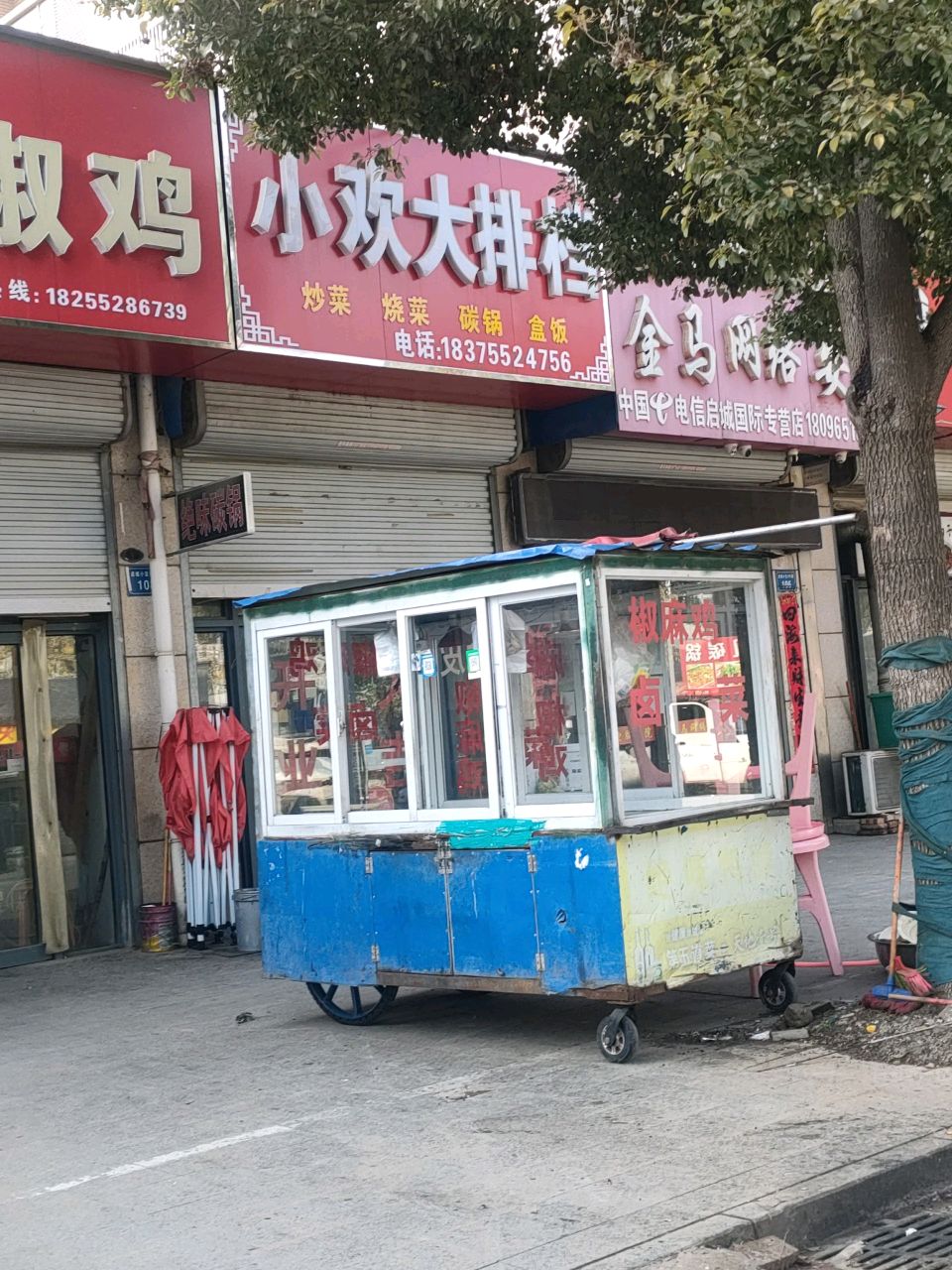 金马网络