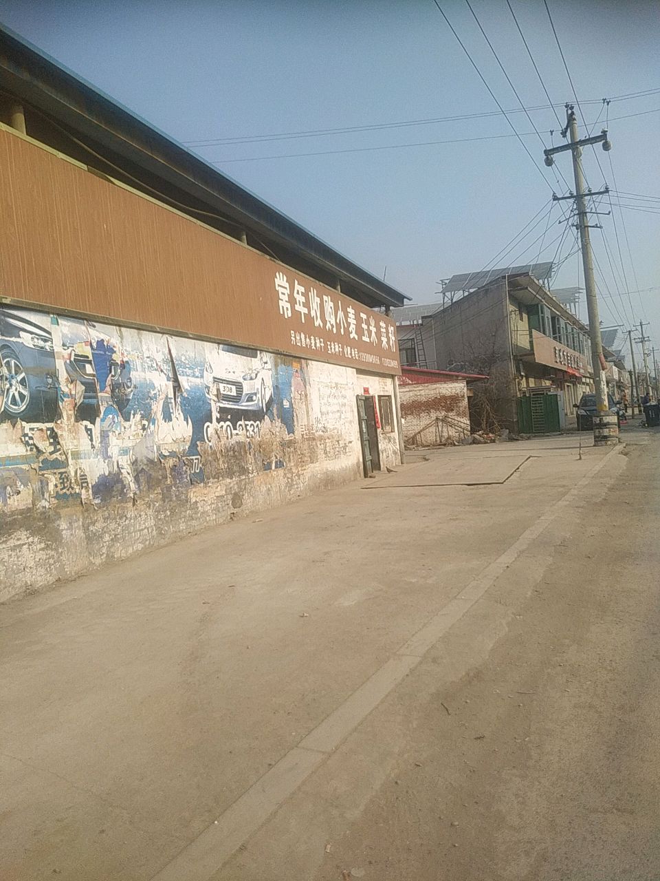 常年收购小麦玉米
