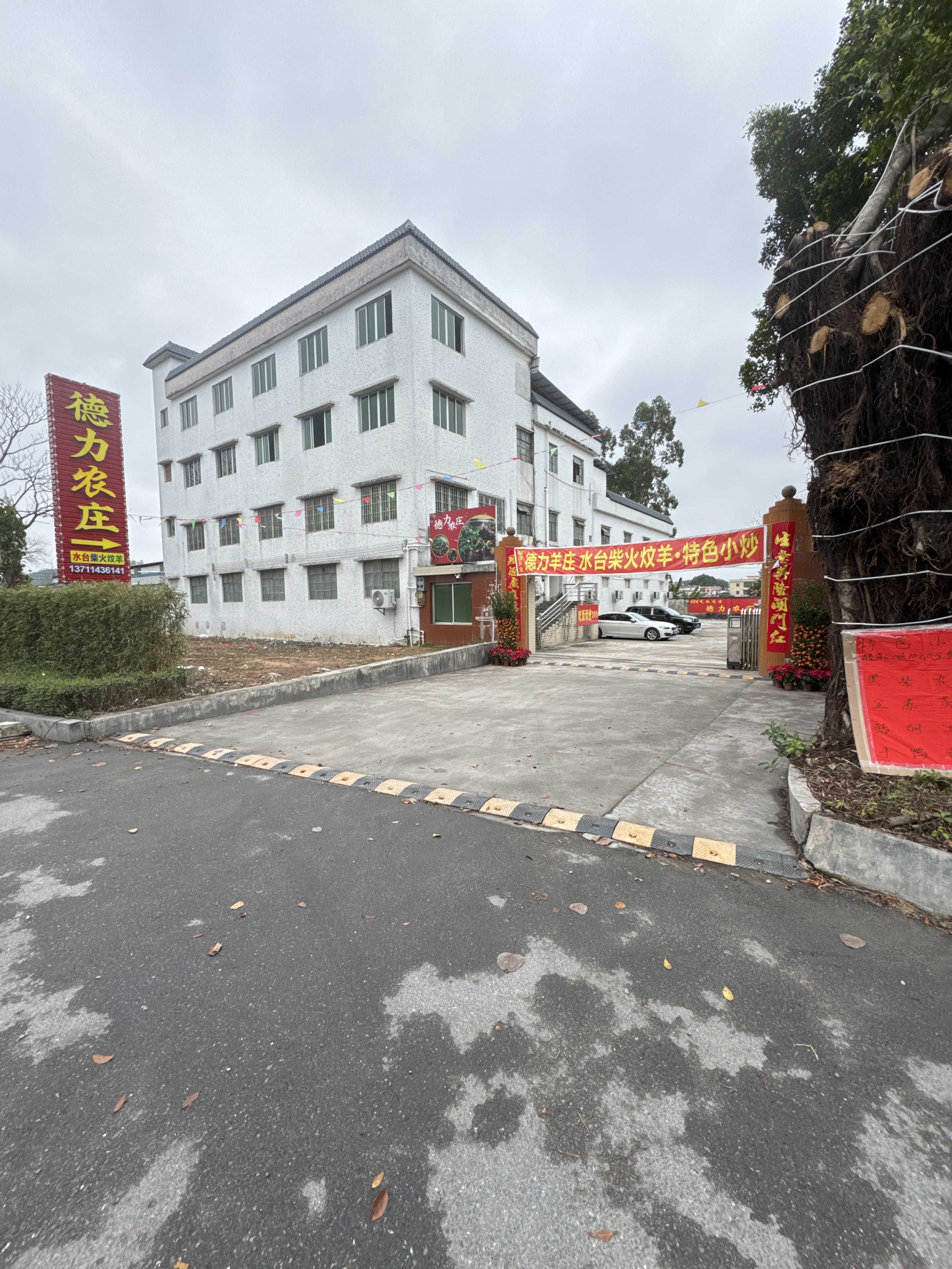 德力农庄-经济实惠(官洞村路口店)