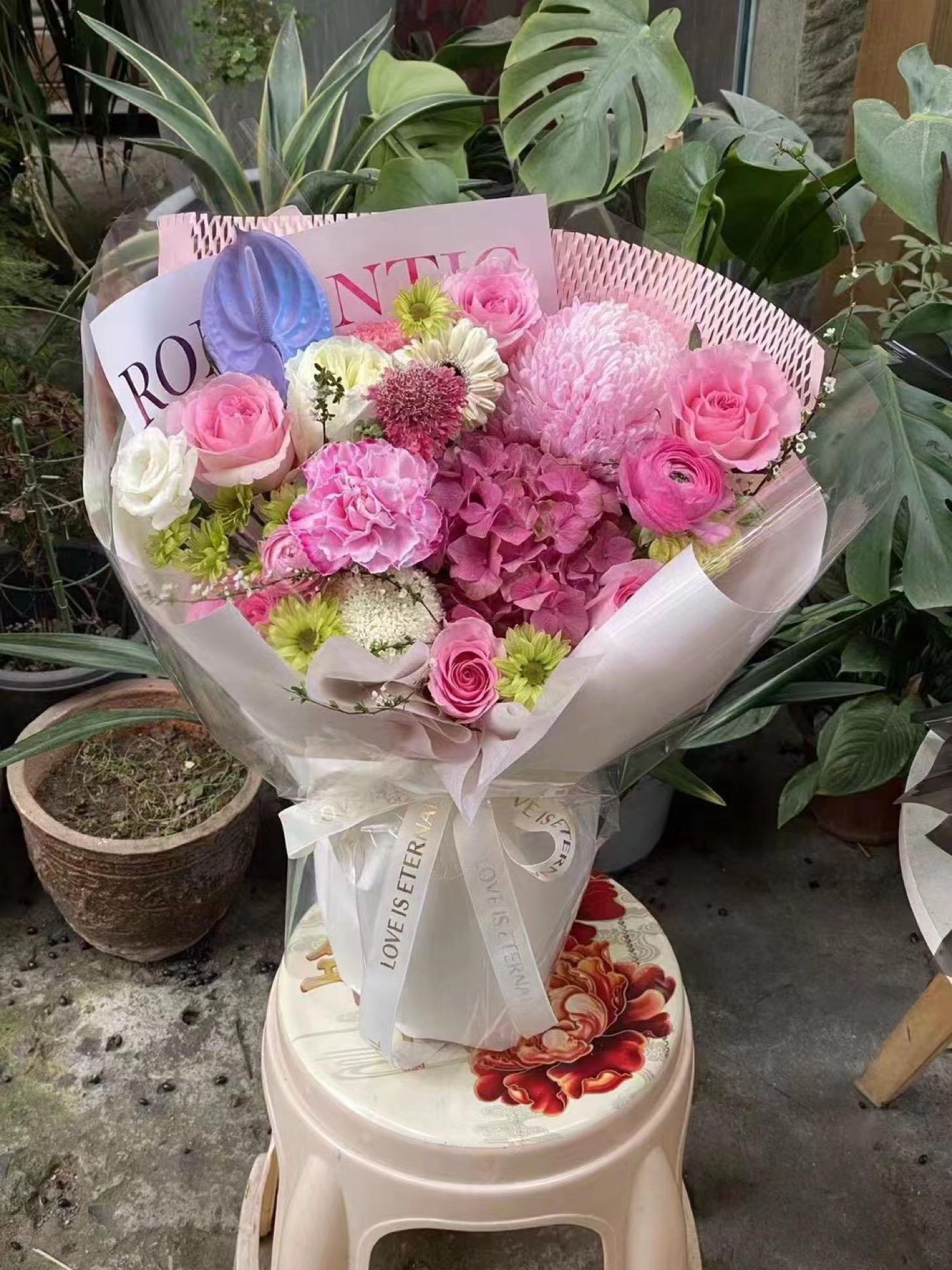 喵先生花房