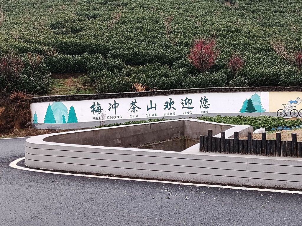 繁昌万春源茶叶有限公司