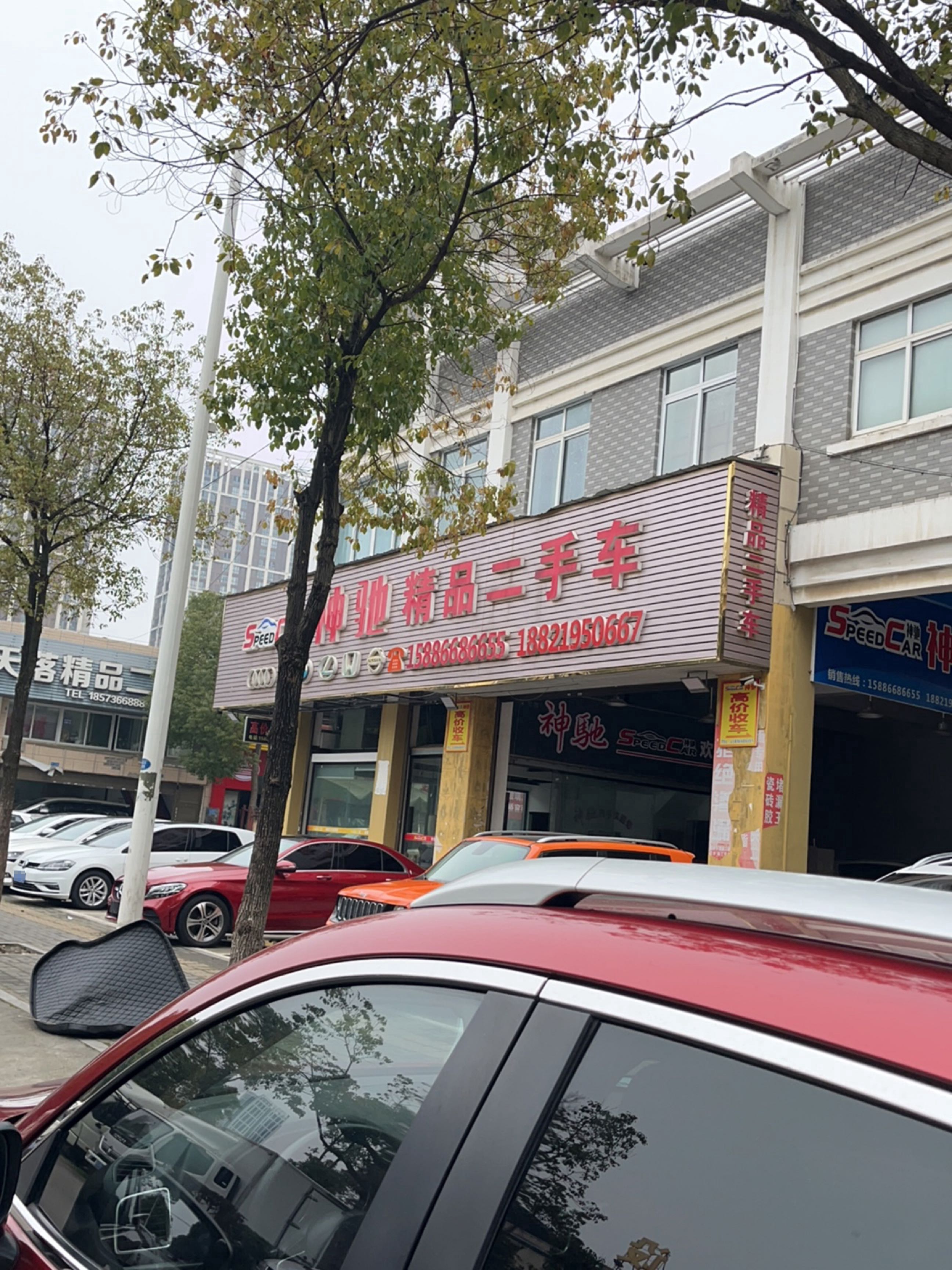 神驰精品二手车(林荫路店)
