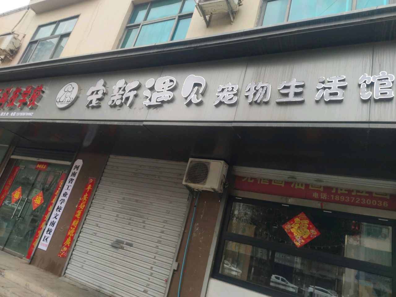 宠新遇见宠物生活馆
