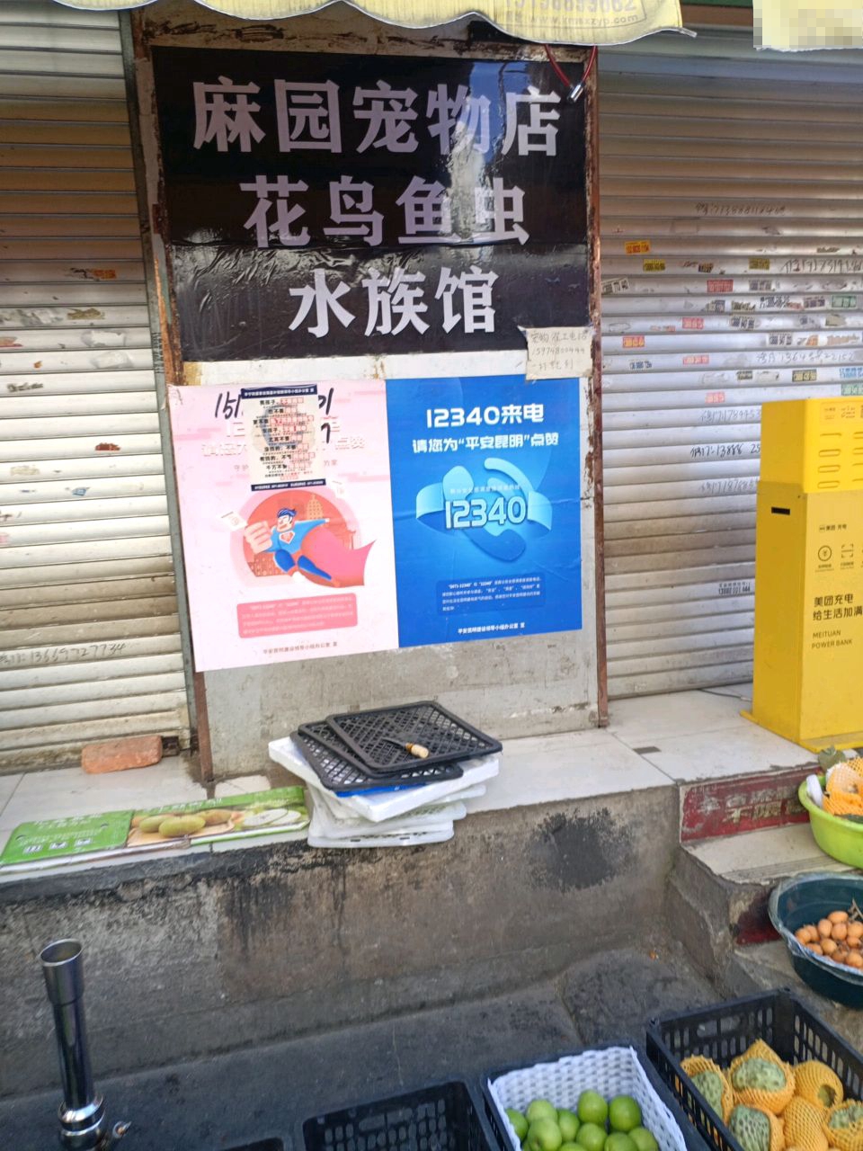 麻园宠物店花鸟花虫水族馆