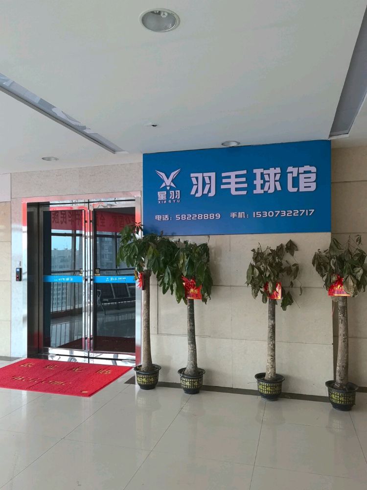 华隆步步高星羽羽毛球馆