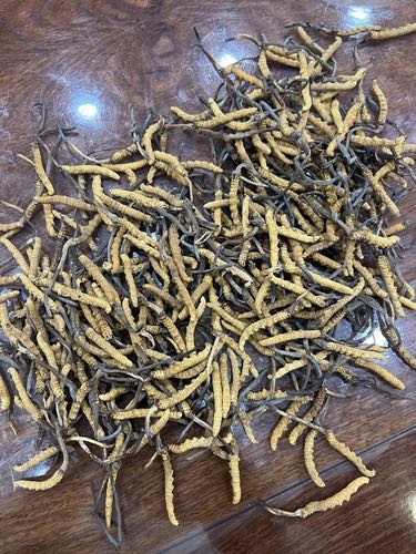灵感回收烟酒茅台酒洋酒回收虫草礼品
