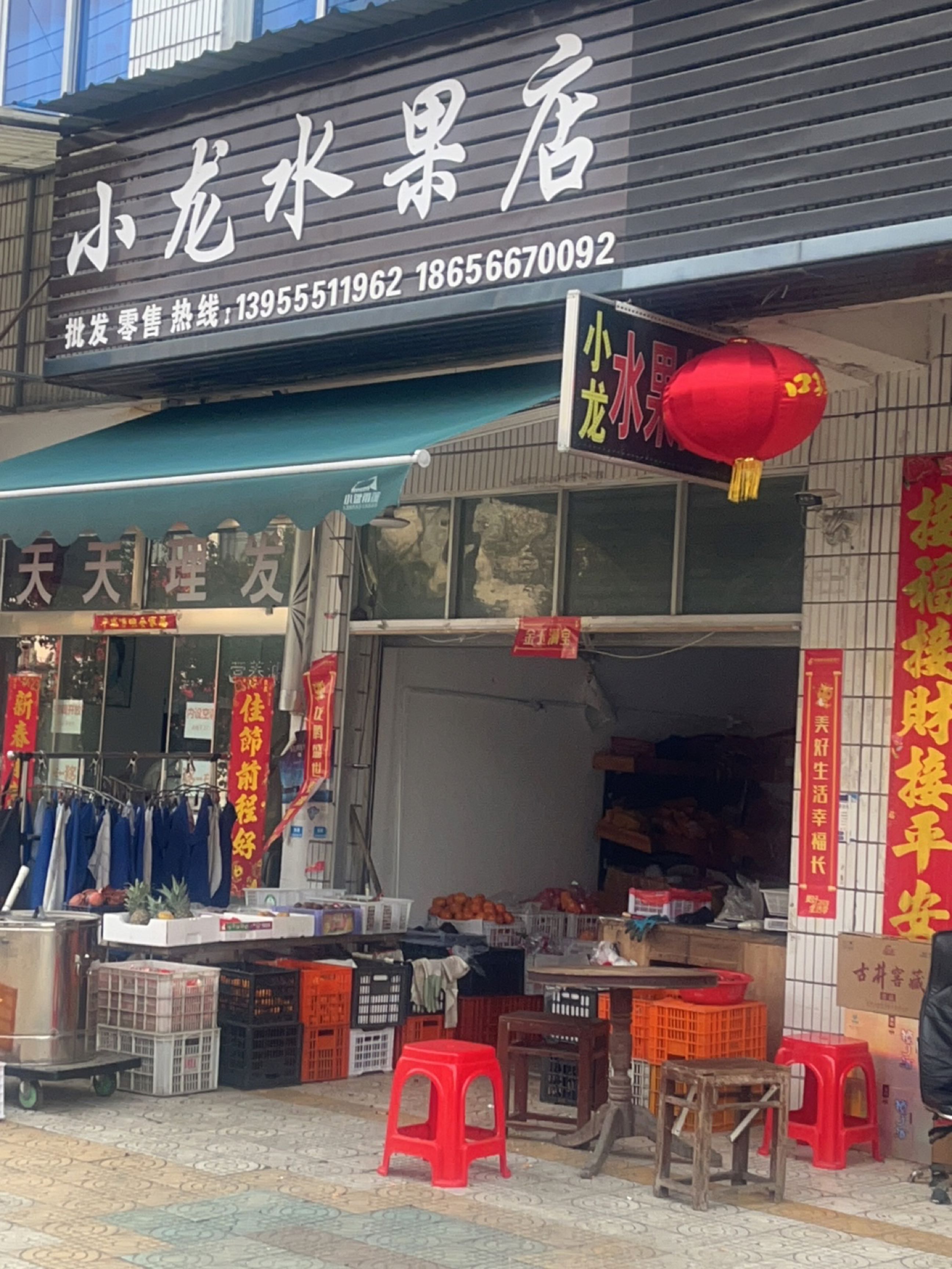 小龙水果