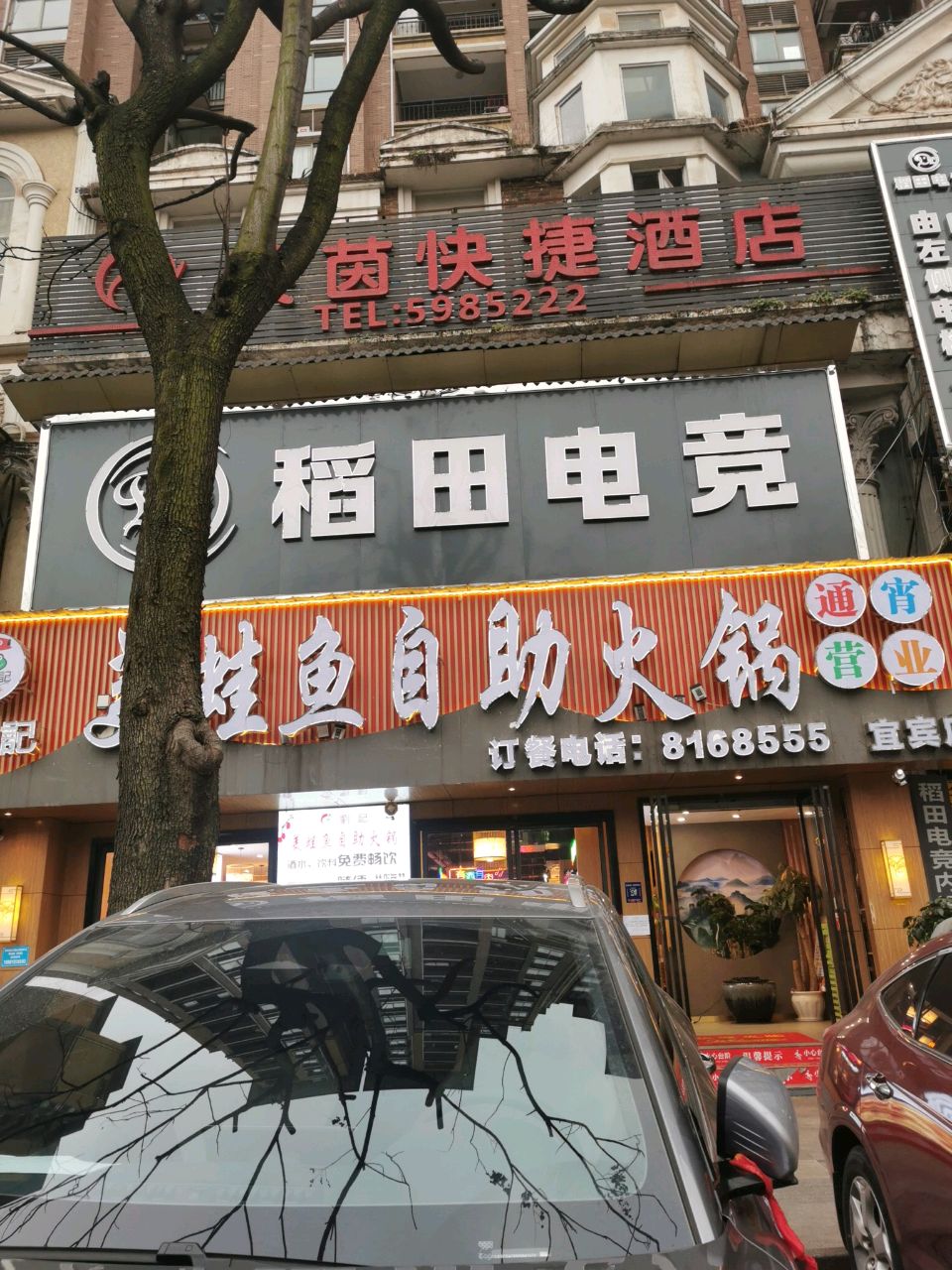 稻田电竞