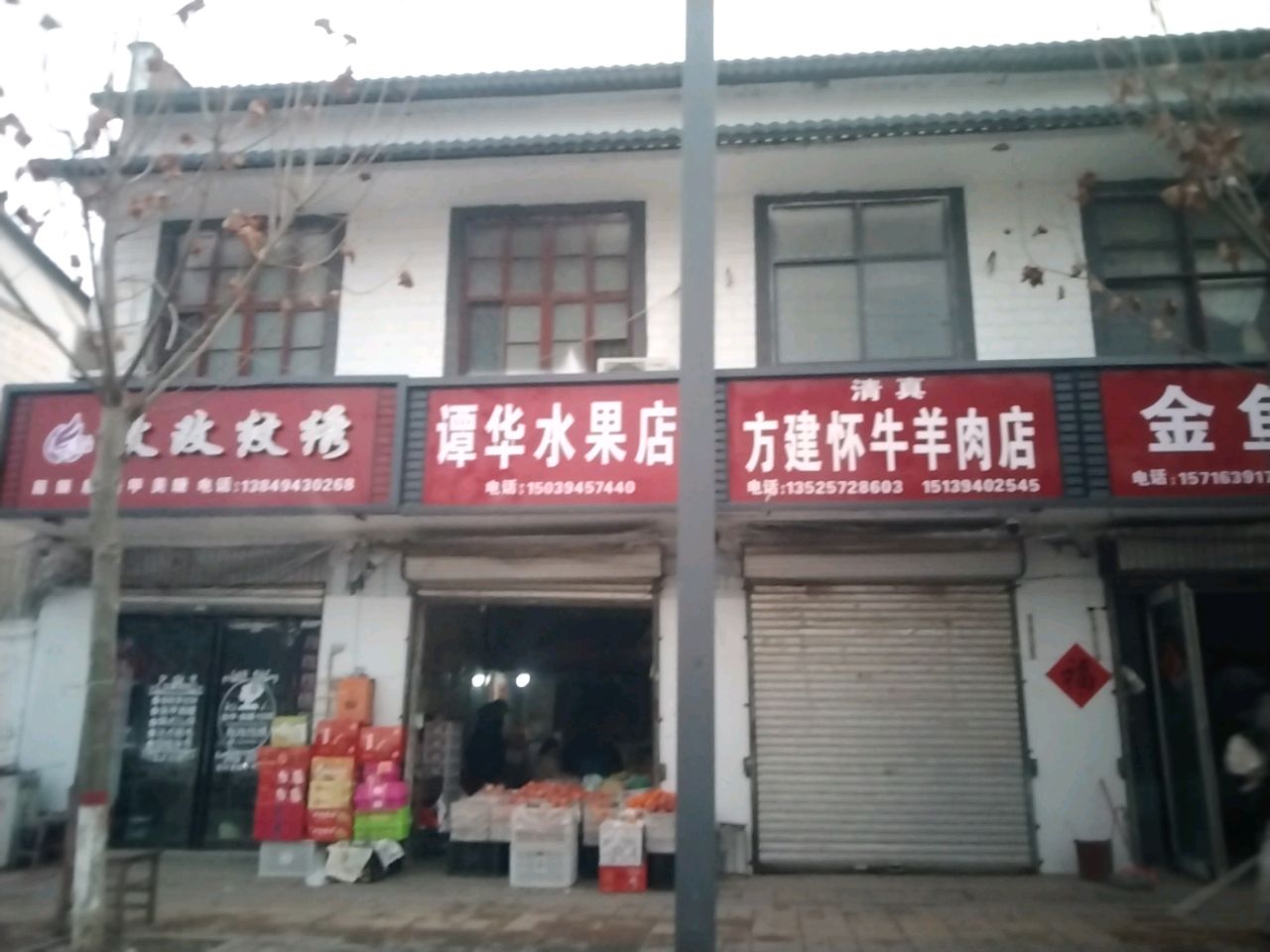 淮阳区新站镇金鱼店