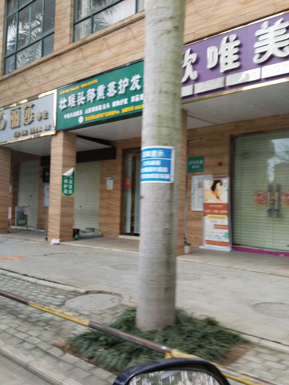 丽莎养生