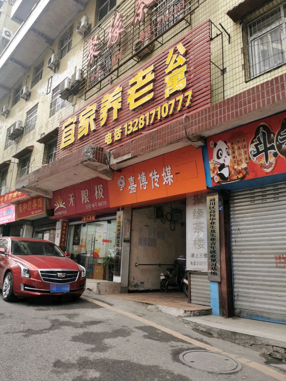 阳桃猫犬舍宠物店