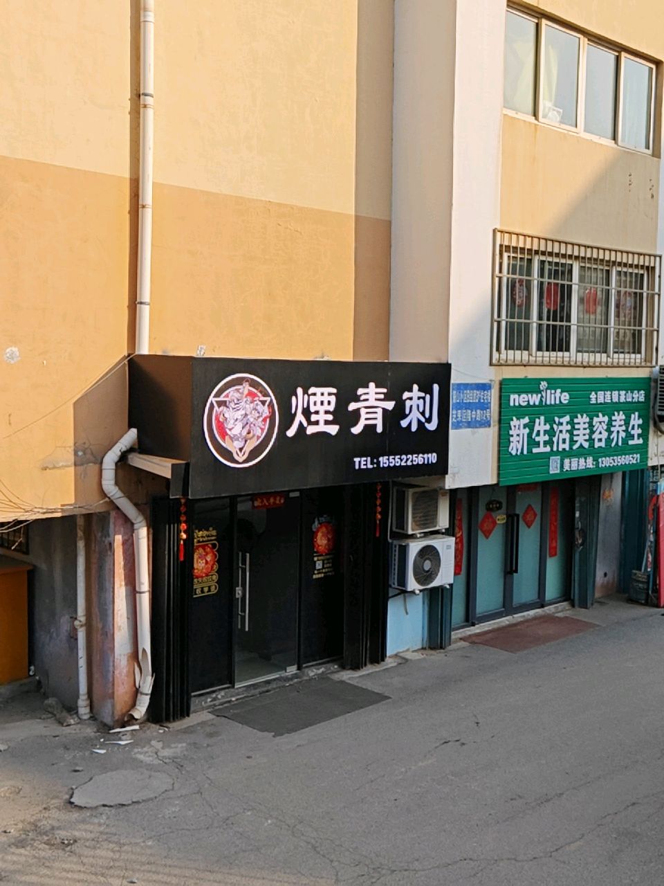 烟青刺