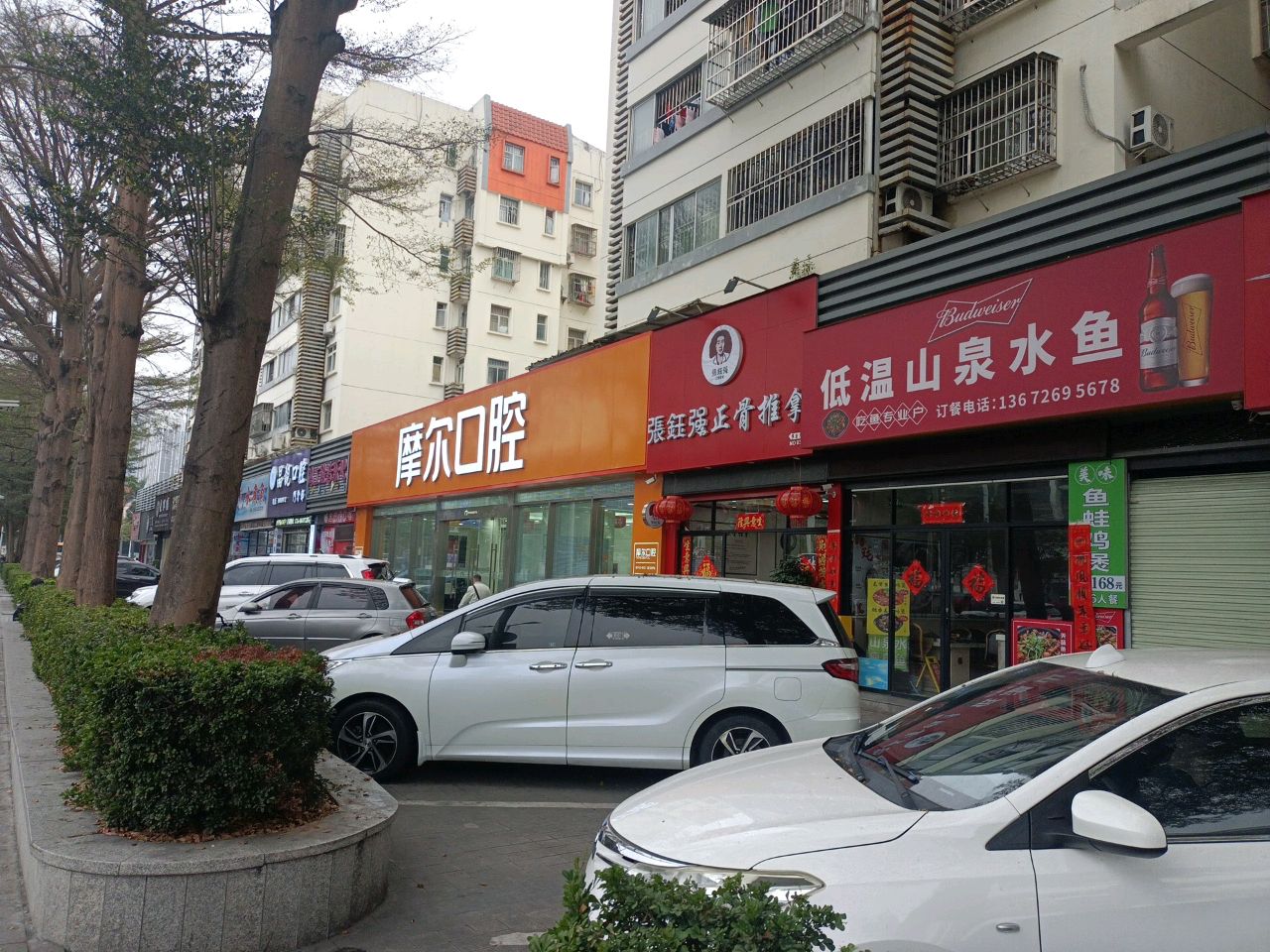 低温山泉水鱼