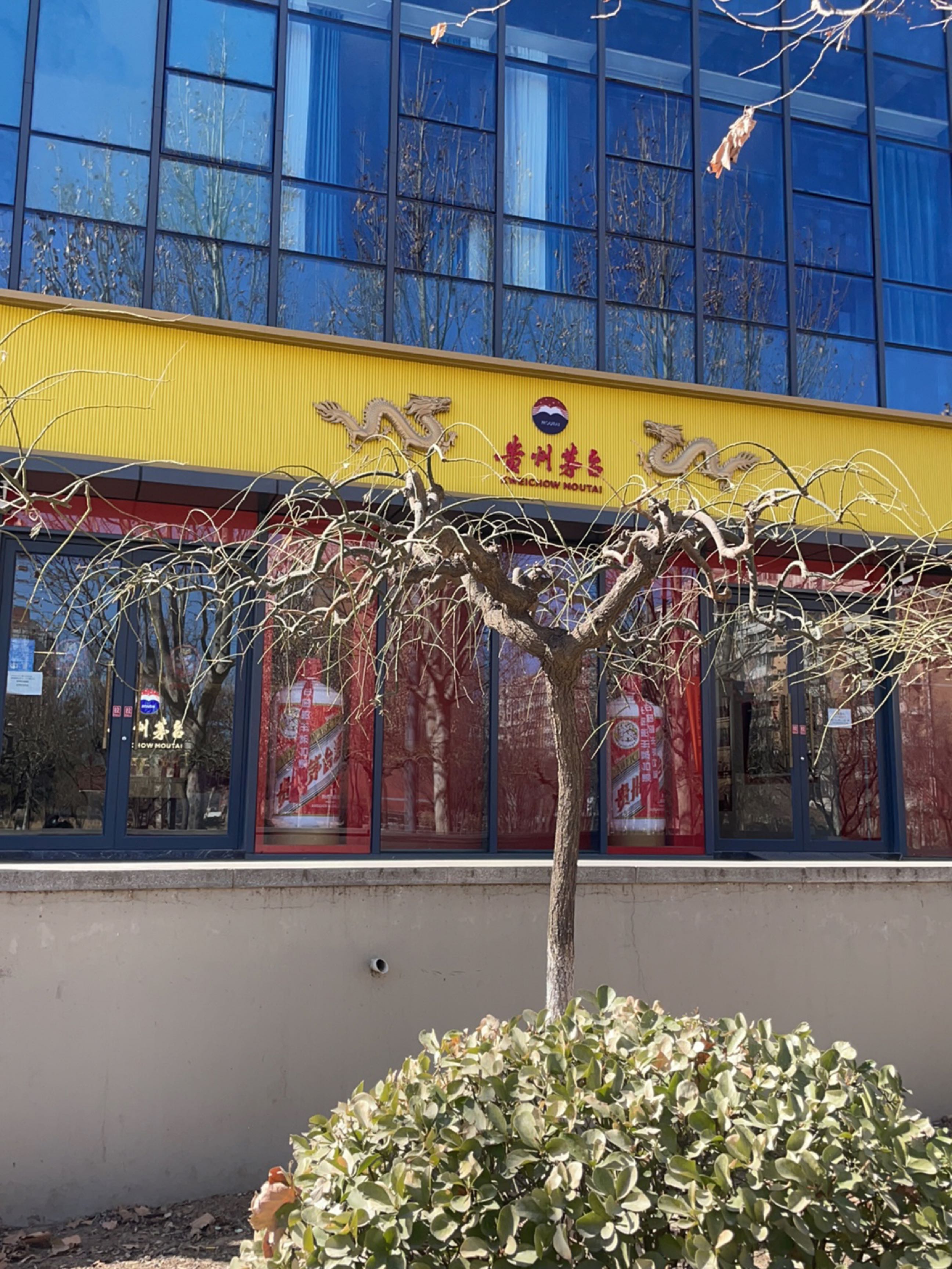 贵州茅台店专卖店(北京市经海六路店)