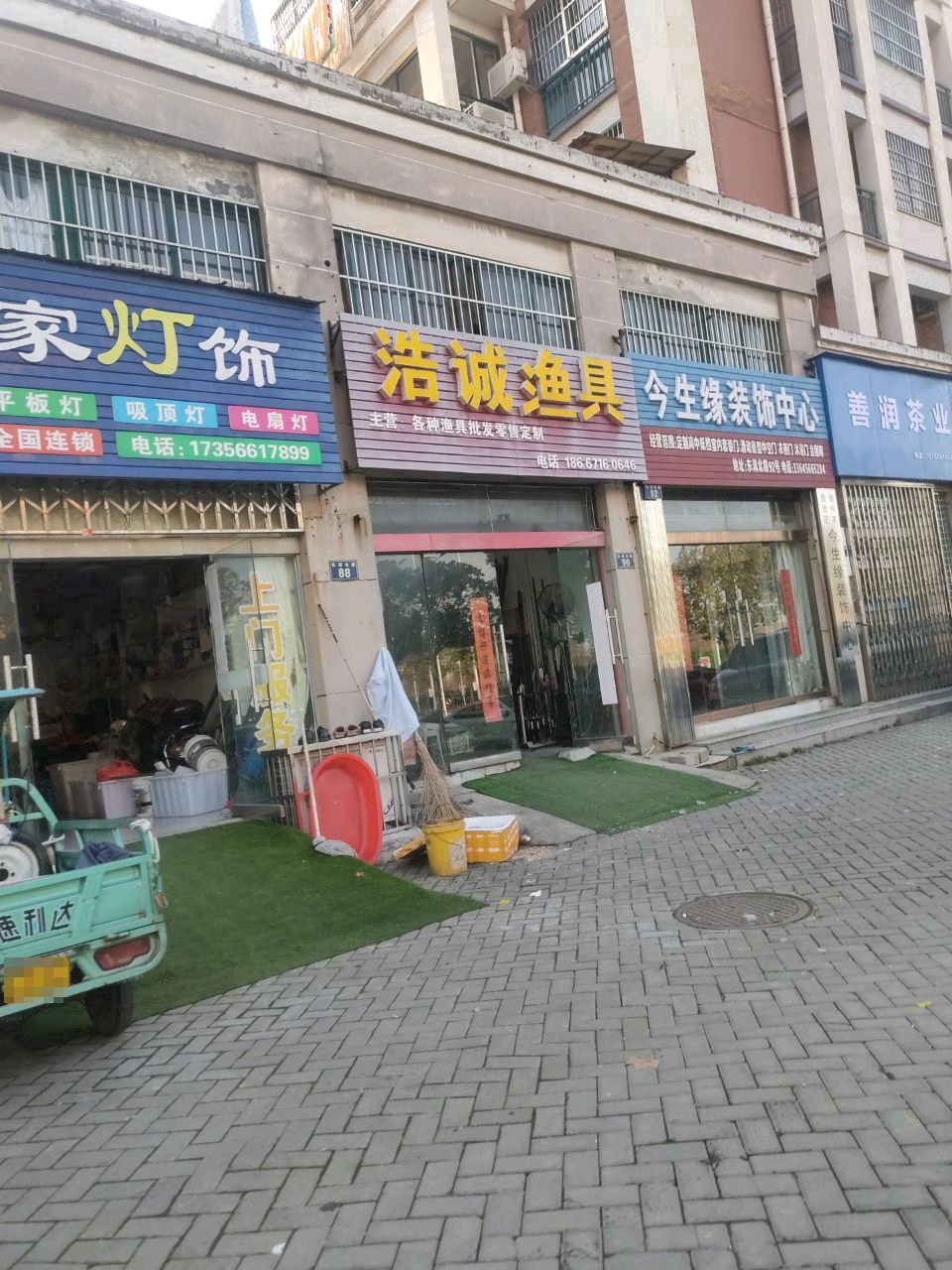 浩龙诚鱼
