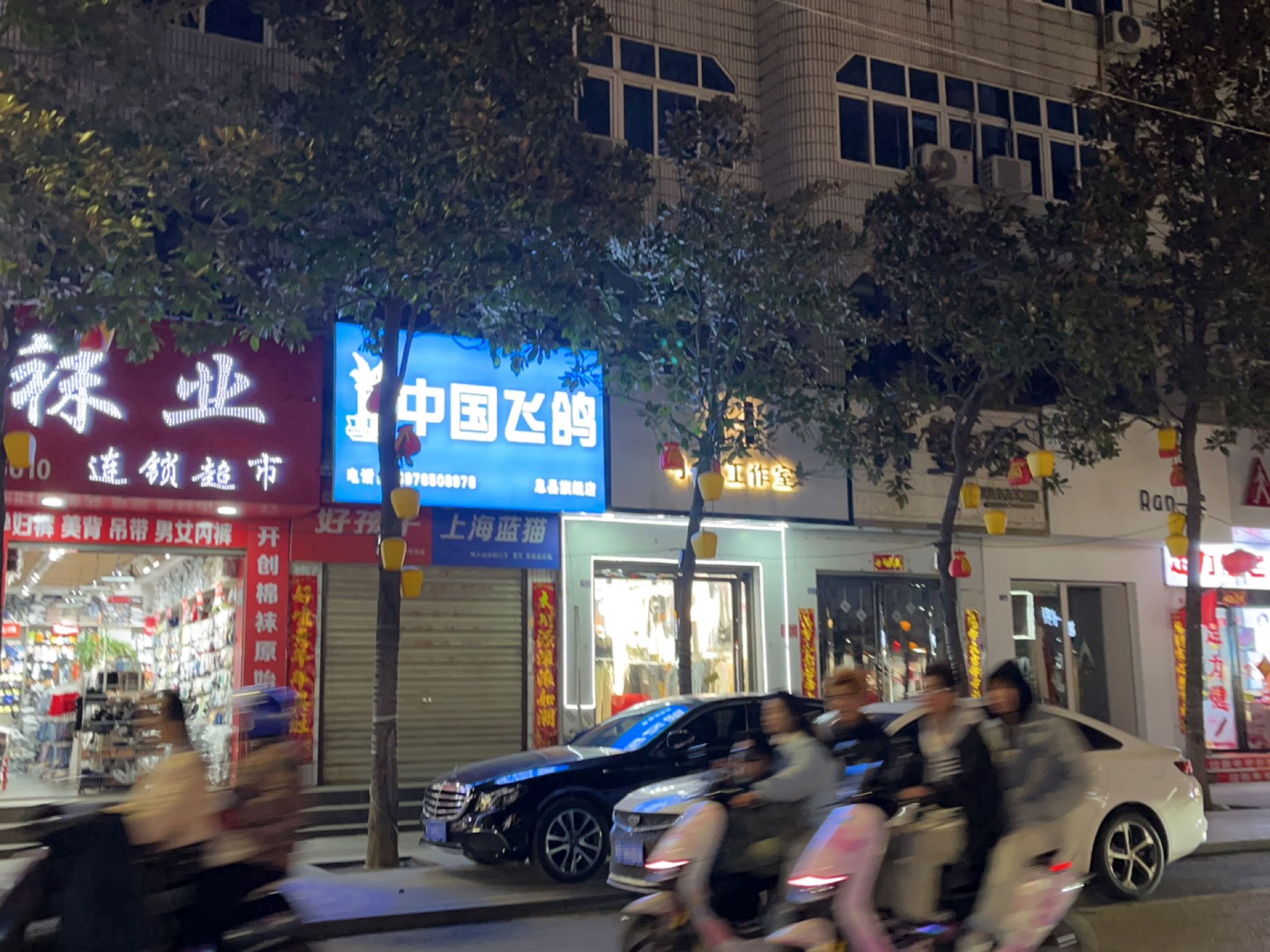 中国飞鸽息县旗舰店(北大街店)