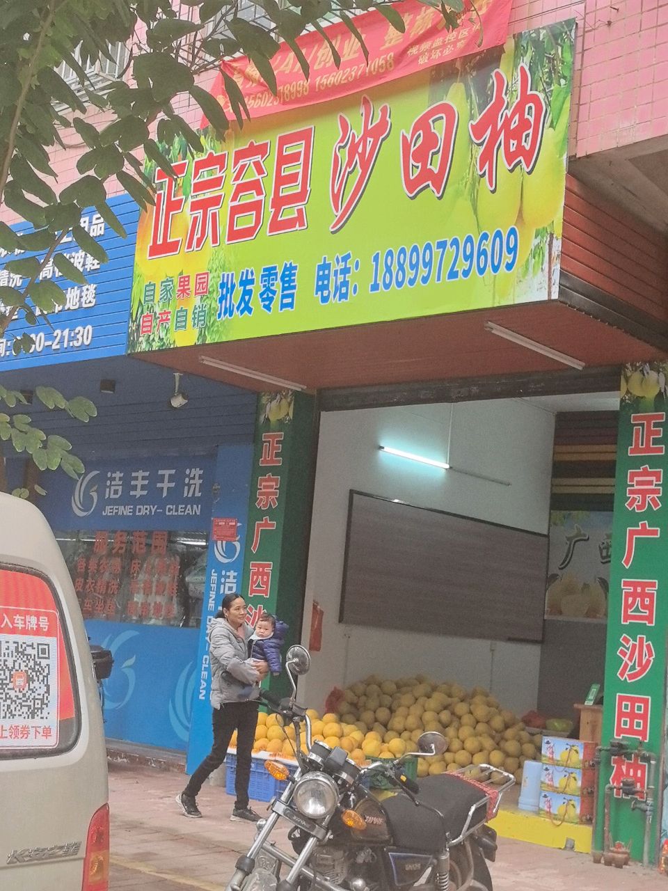 正宗容县沙田柚