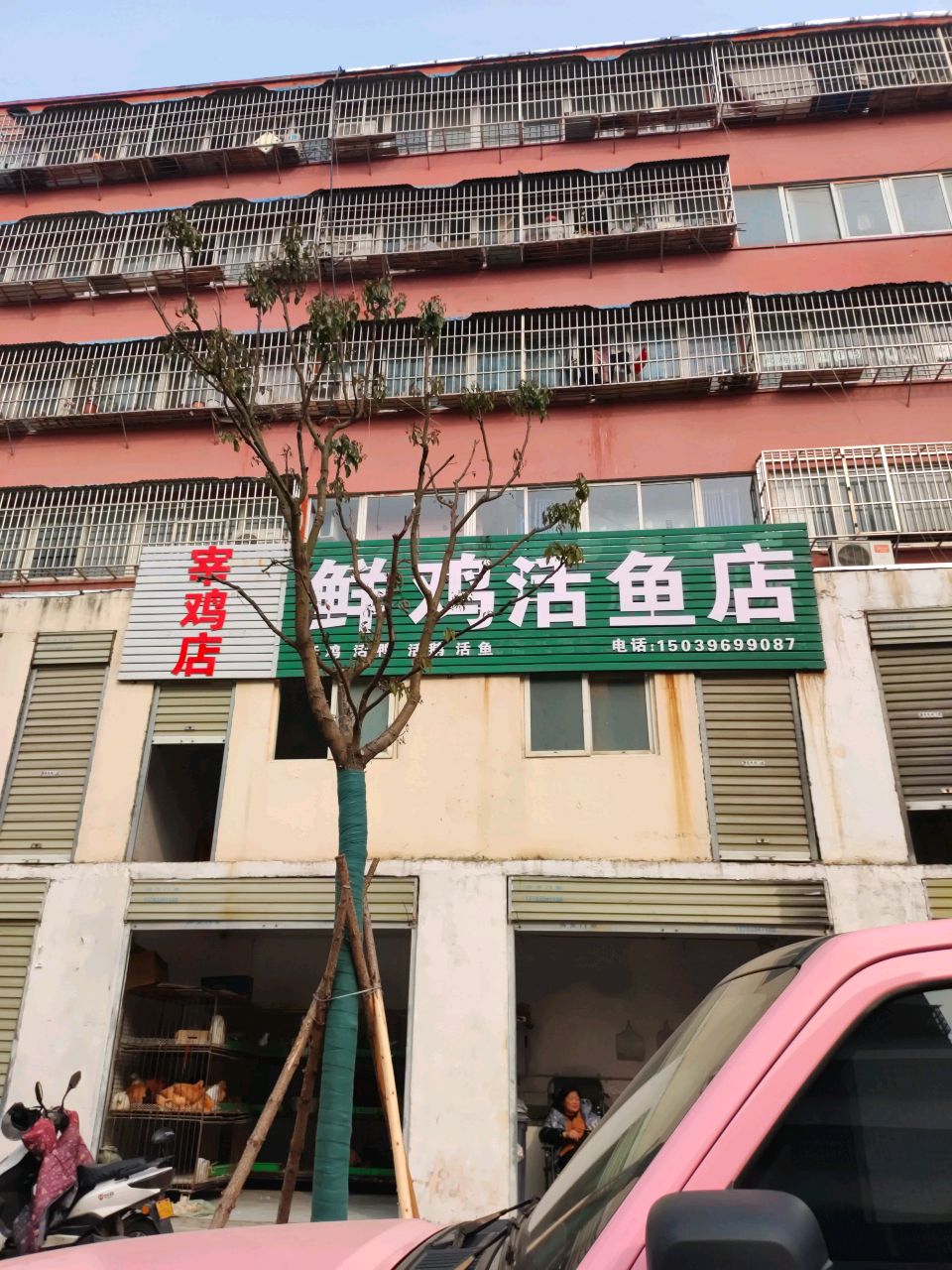 鲜鸡活鱼店