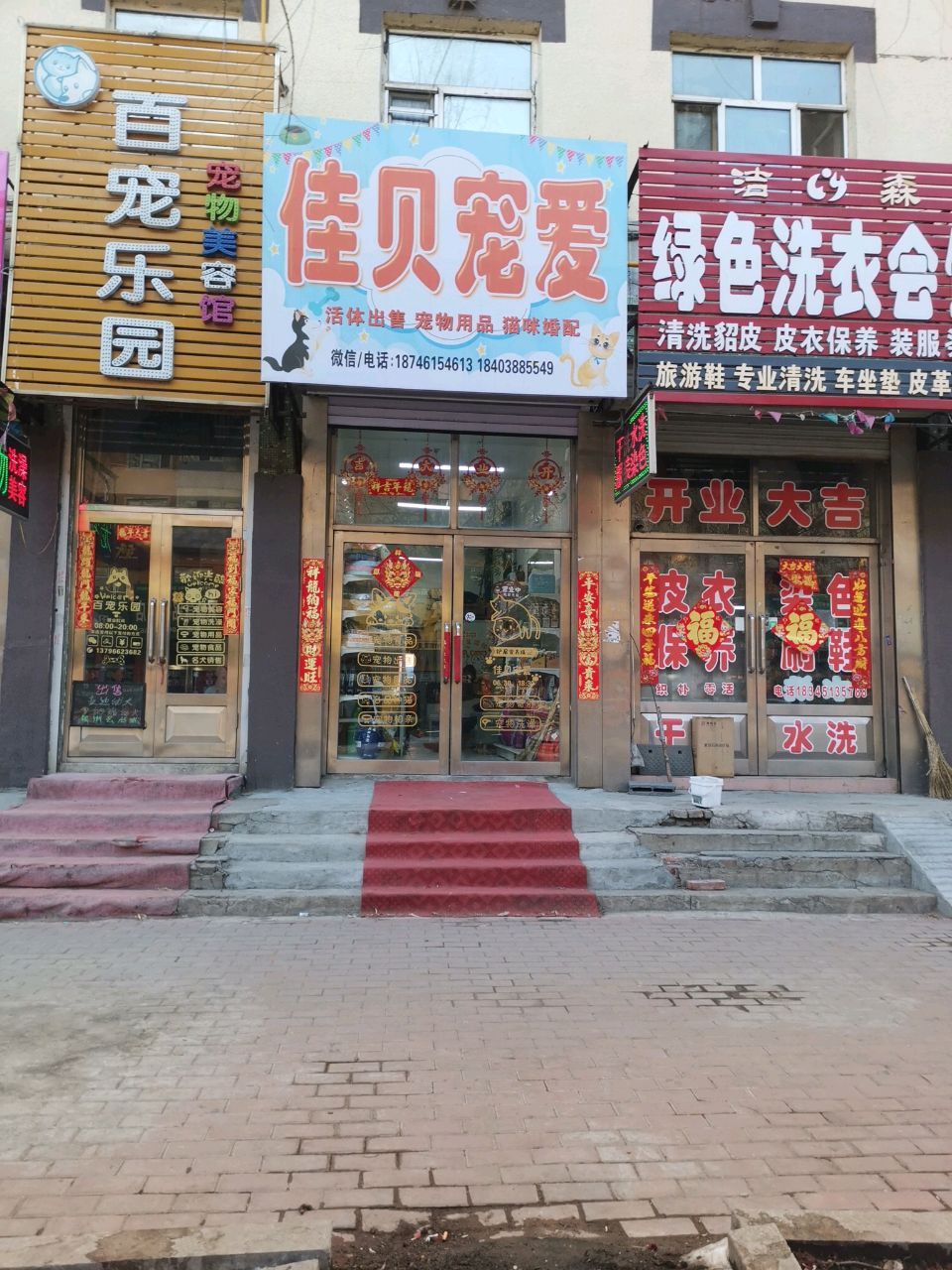 佳贝宠爱