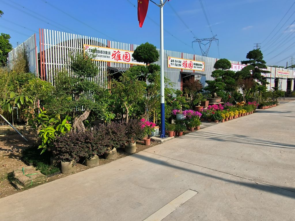东部花卉中心