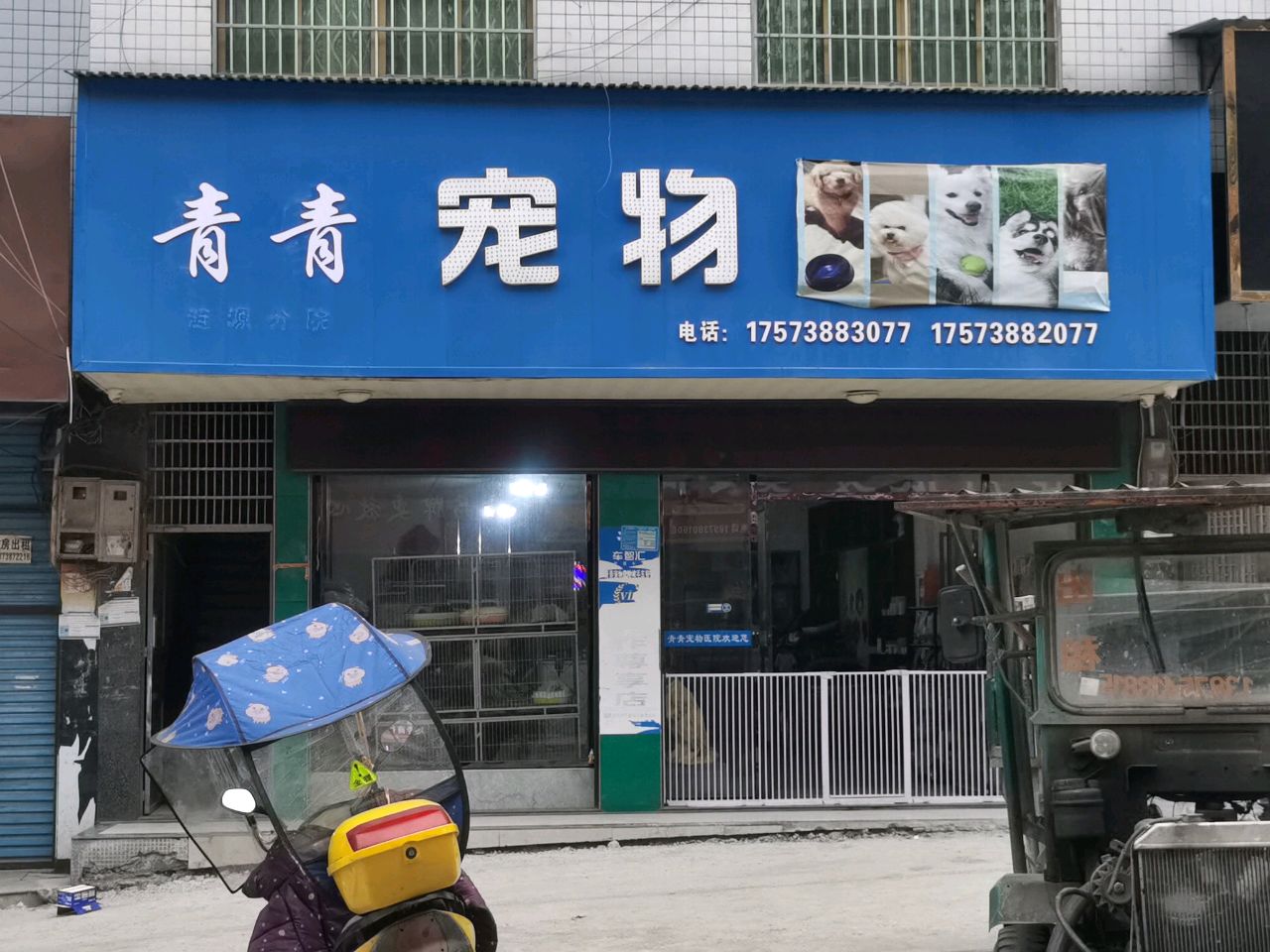 涟源市青青(来富)宠物