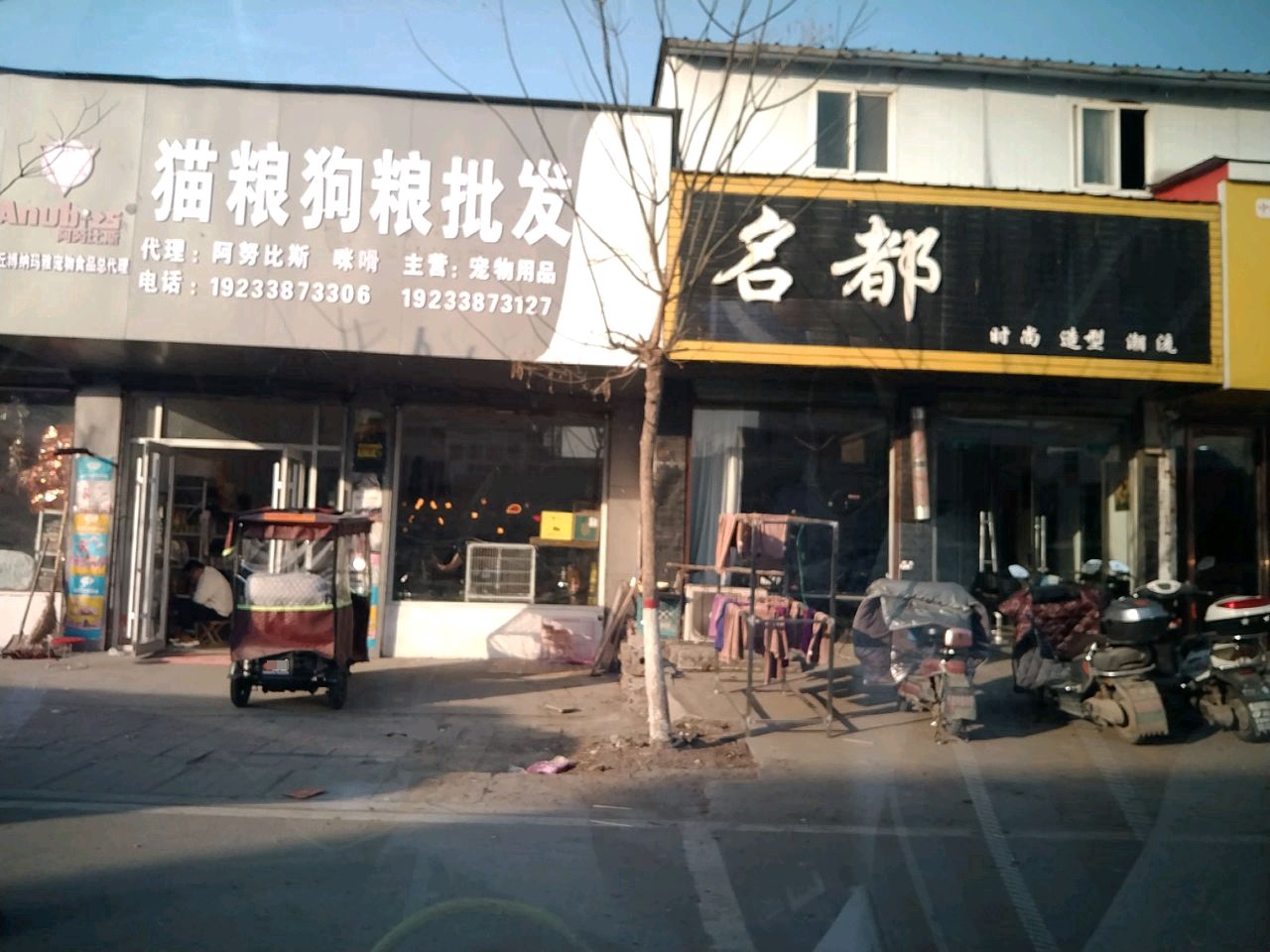 沈丘县纸店镇猫粮狗粮批发