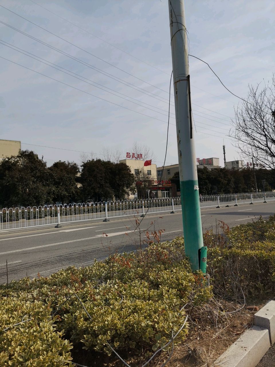 吕长明食品