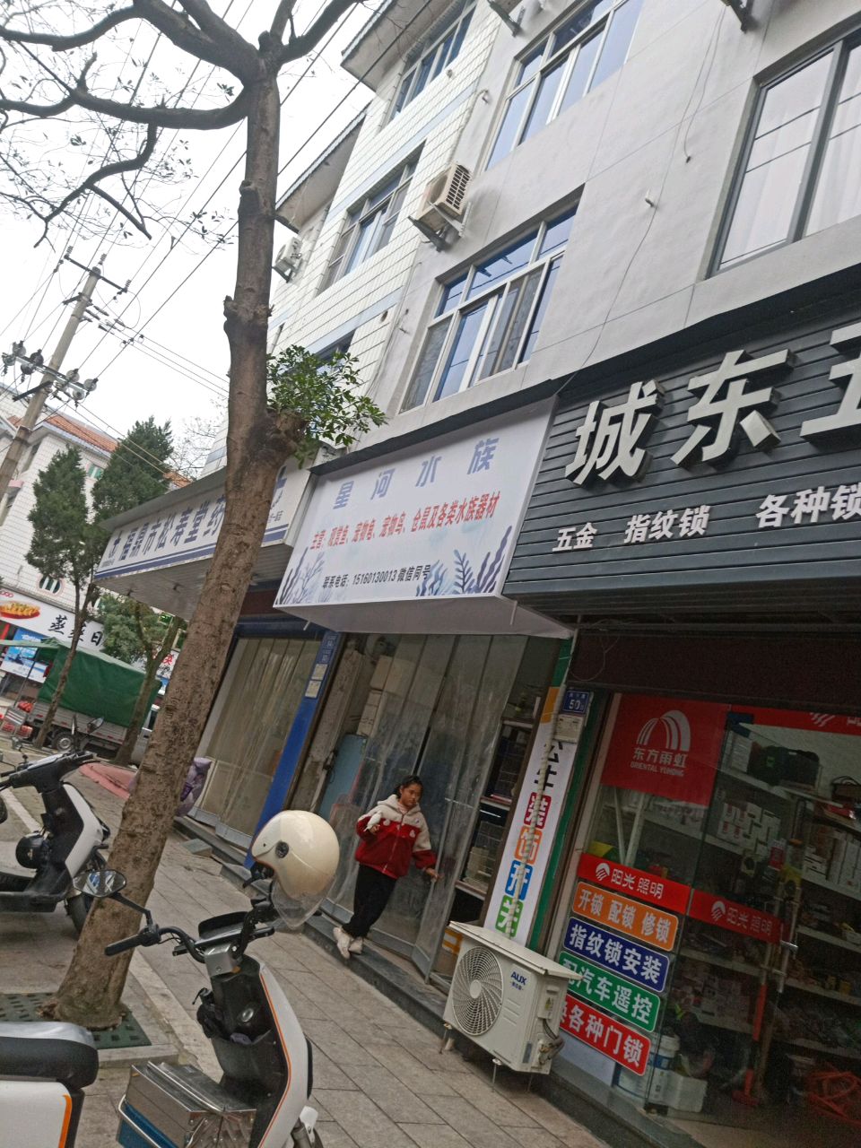 氧星也河兜水族