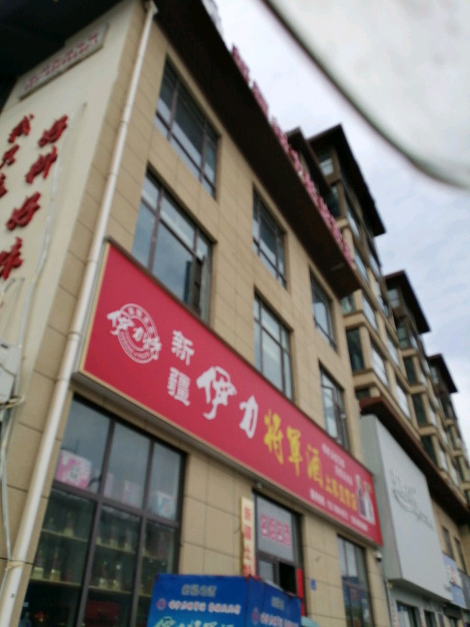 上蔡县新疆伊力将军酒上蔡直营店