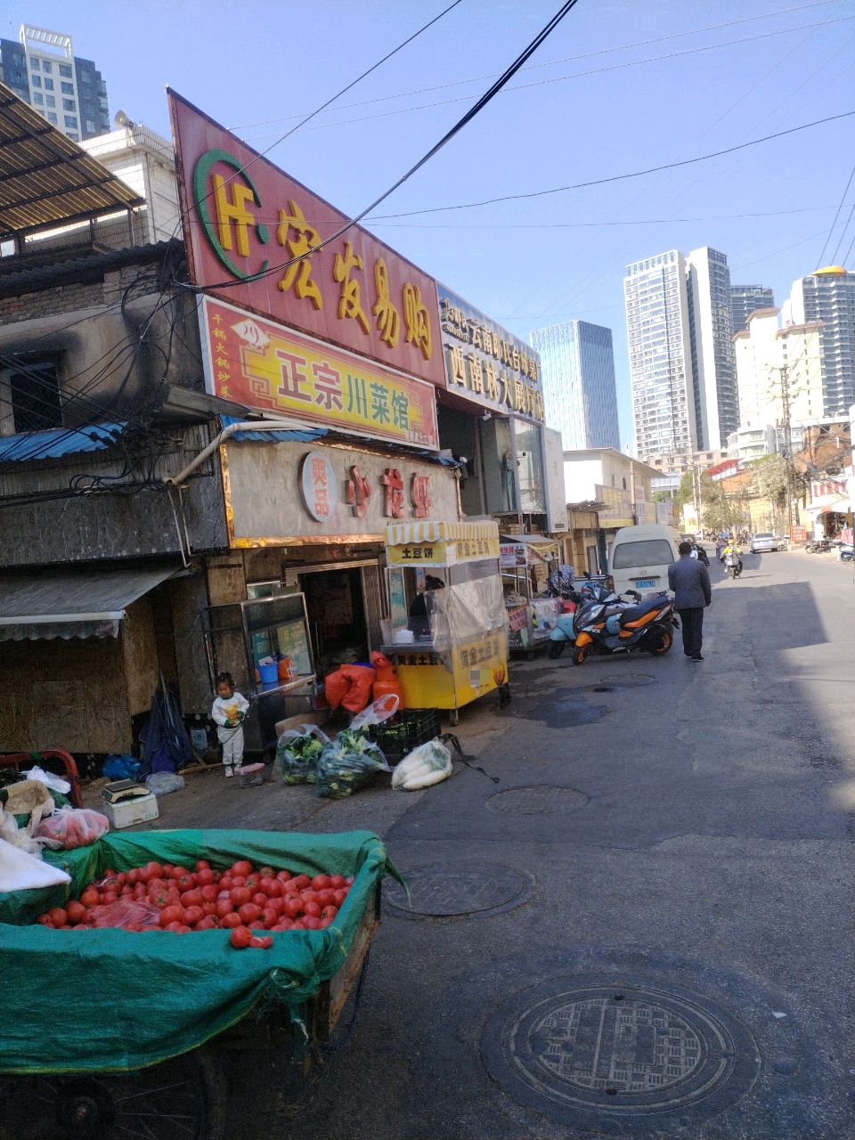 耶氏太球(西南林大展厅店)