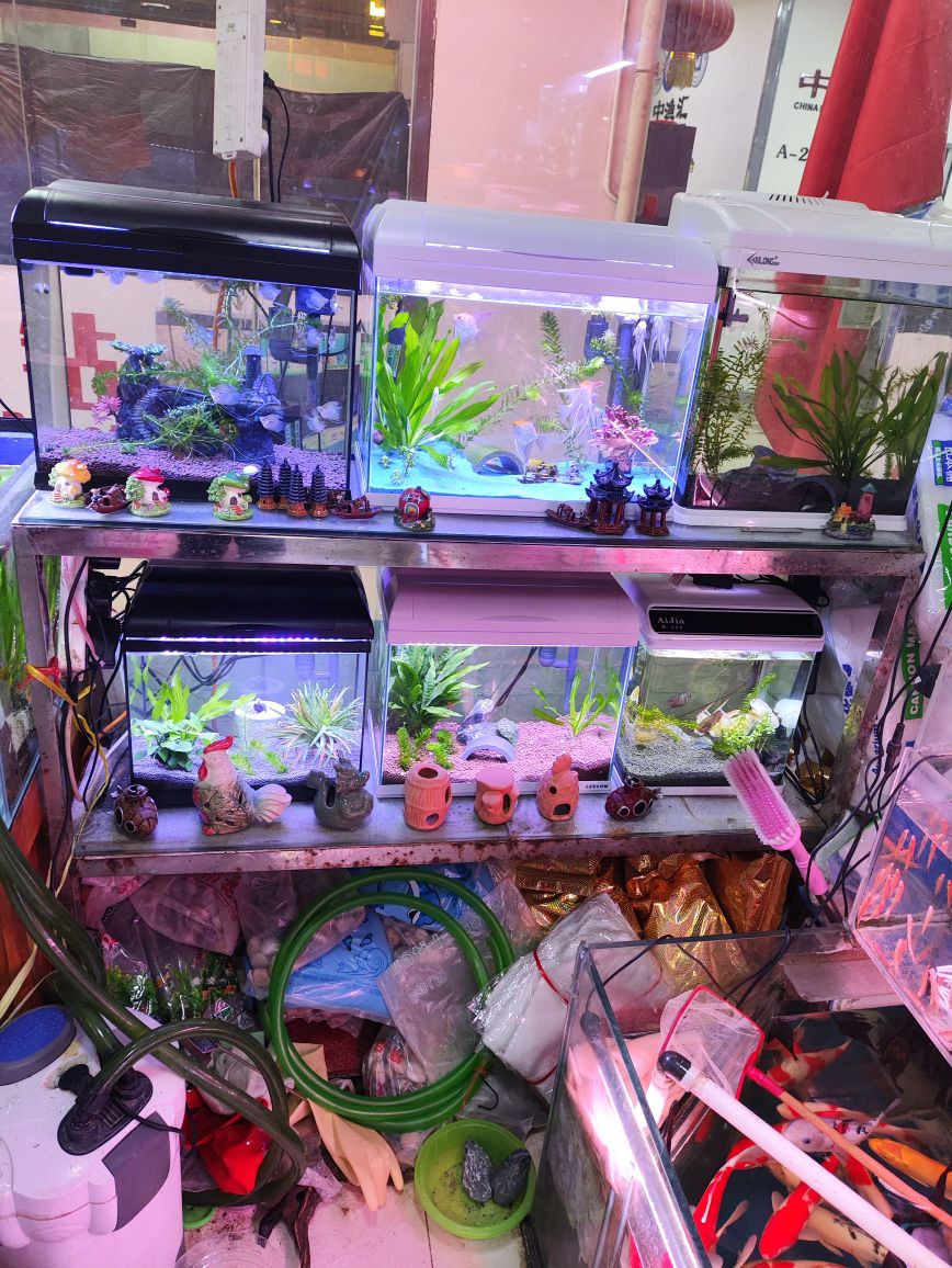可丽爱水族箱专卖店店(金源新燕莎MALL店)