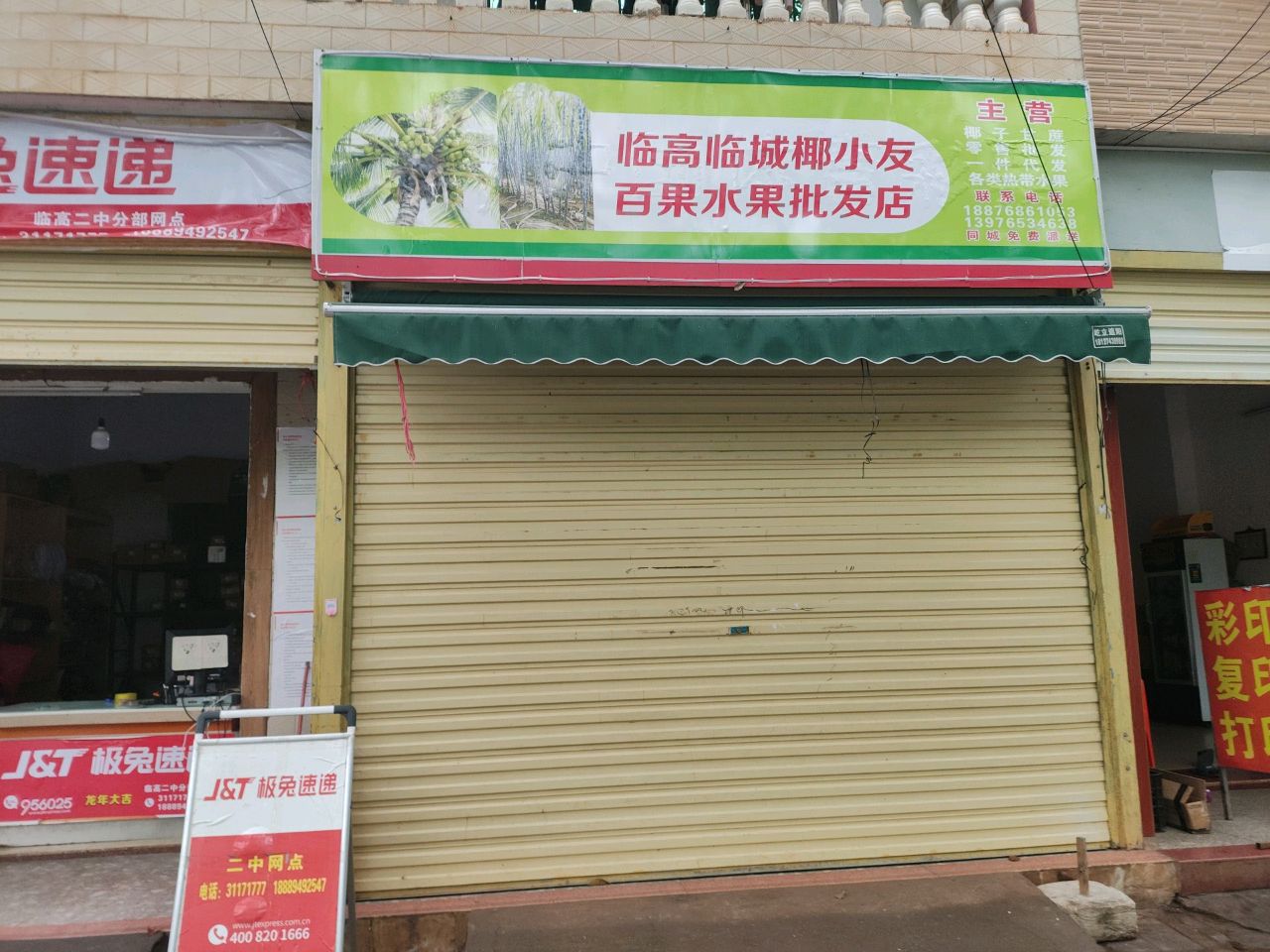 临高椰小友百果水果批发店