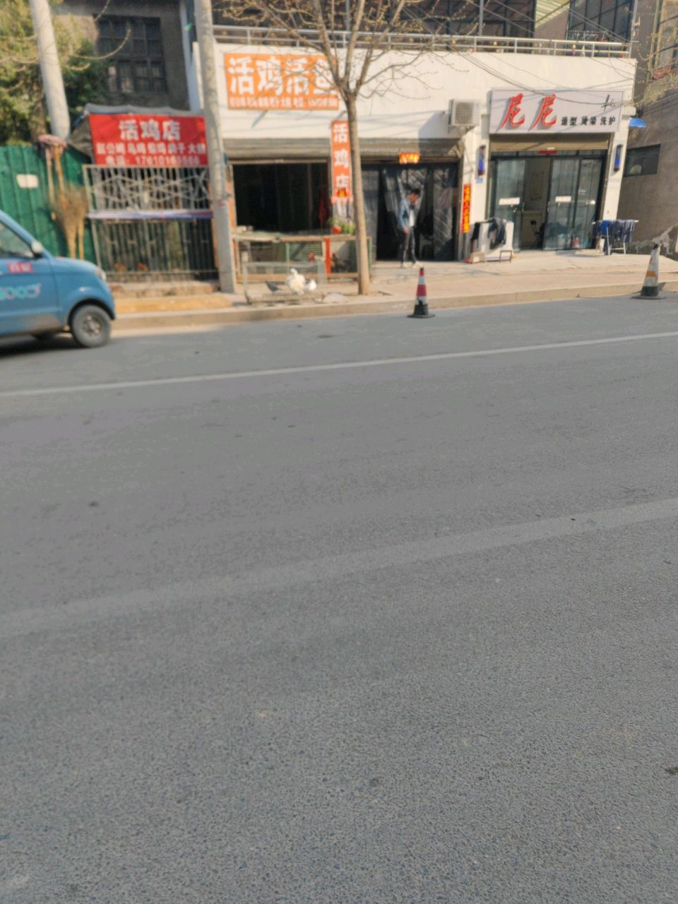 鹿邑县活鸡活鱼(杨园街店)