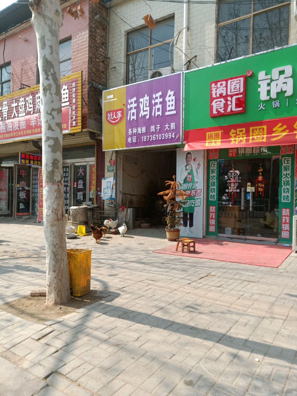 太康县毛庄镇活鸡活鱼(迎宾路店)