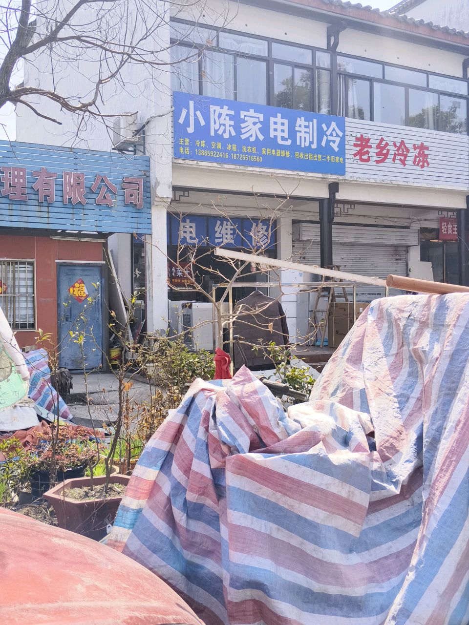 廛陈颡小家电制冷