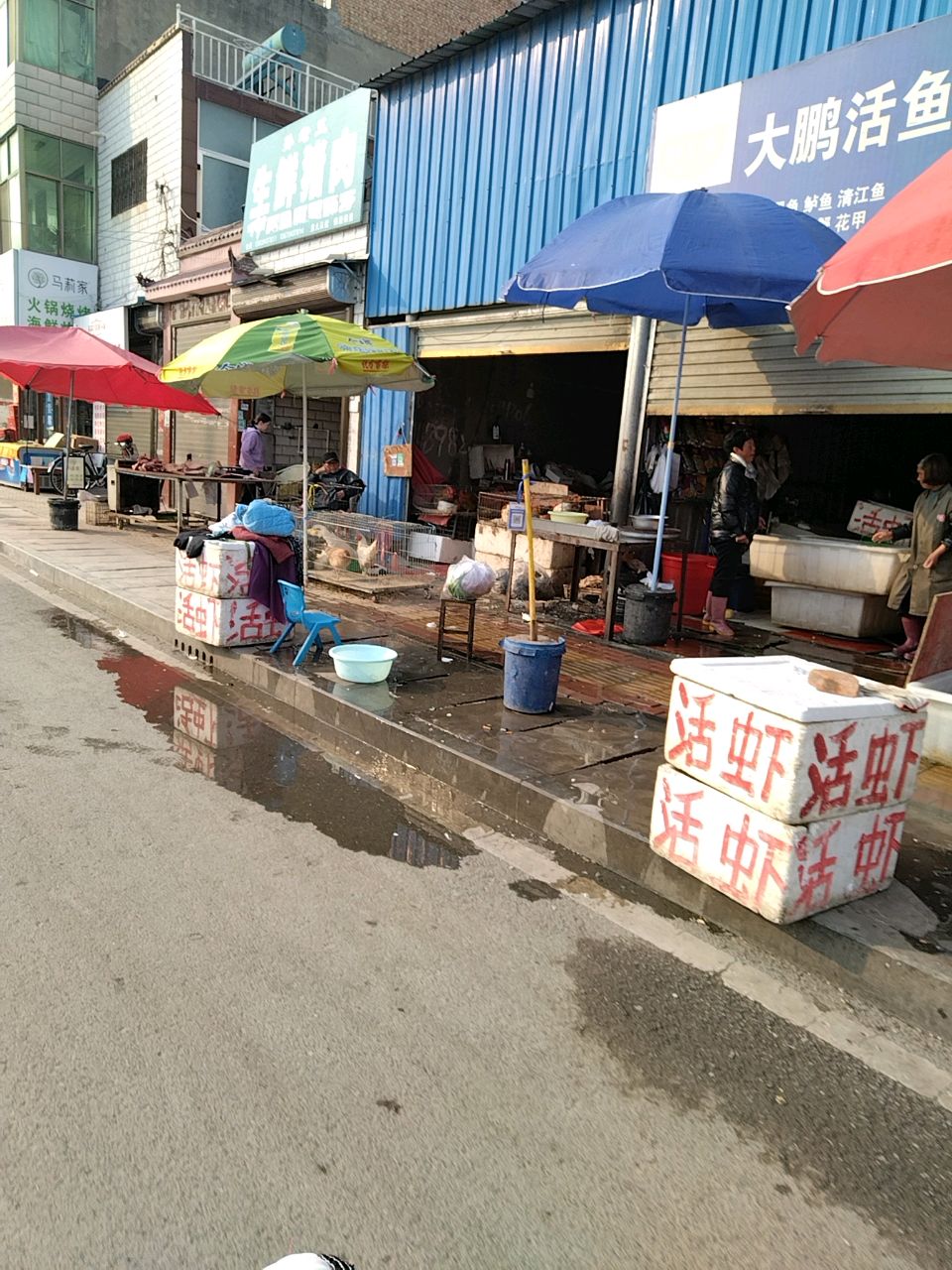 郸城县活鱼批发(洺河北路店)