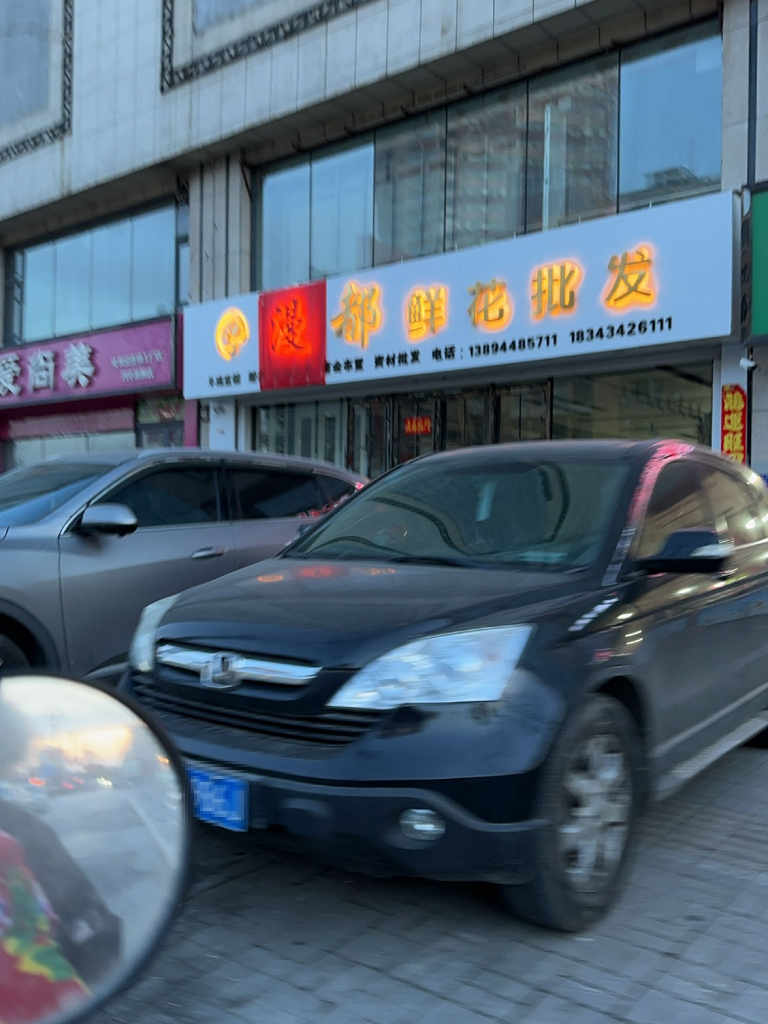 鑫漫鲜花批发