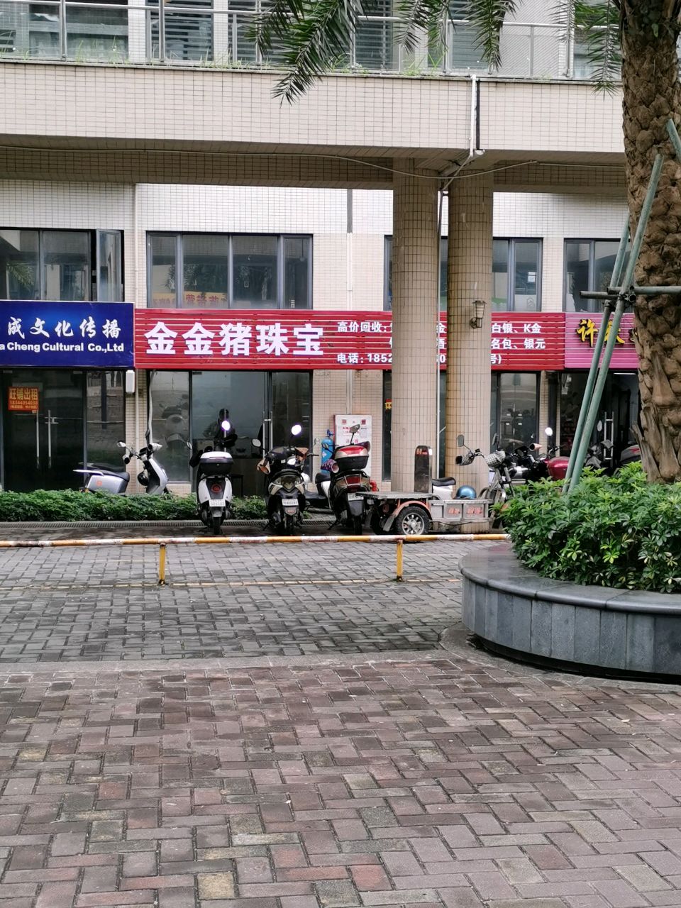 金猪珠宝